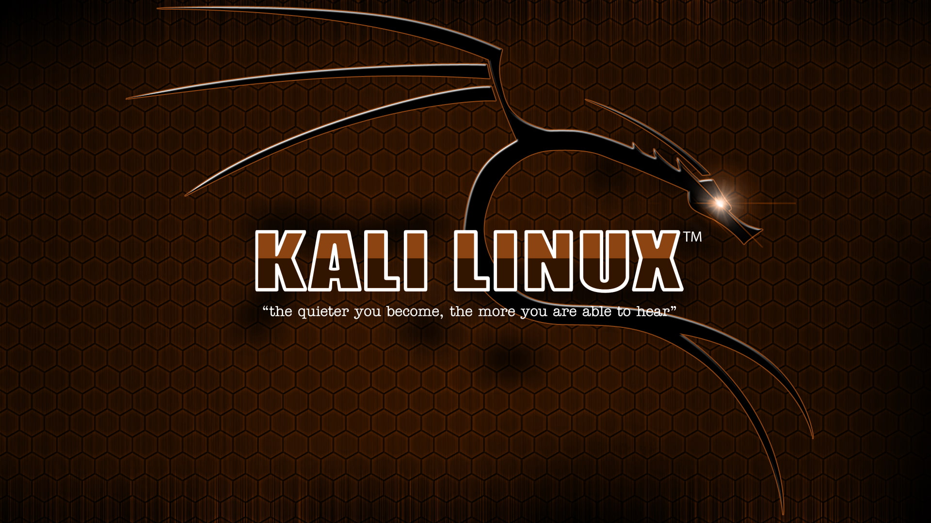 Kali Linux 2k