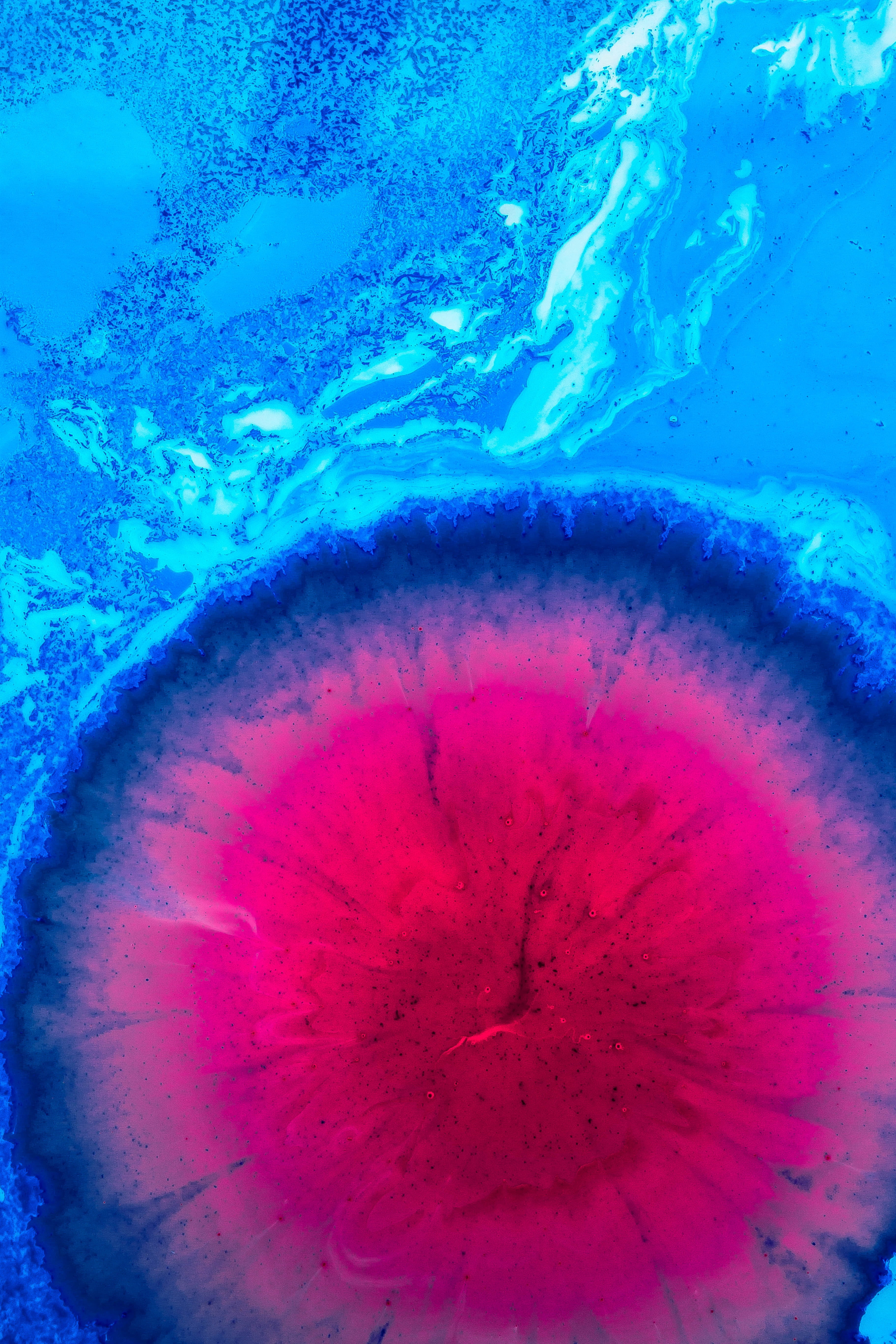 liquid spots paint blue pink close up no people water 2k 4k