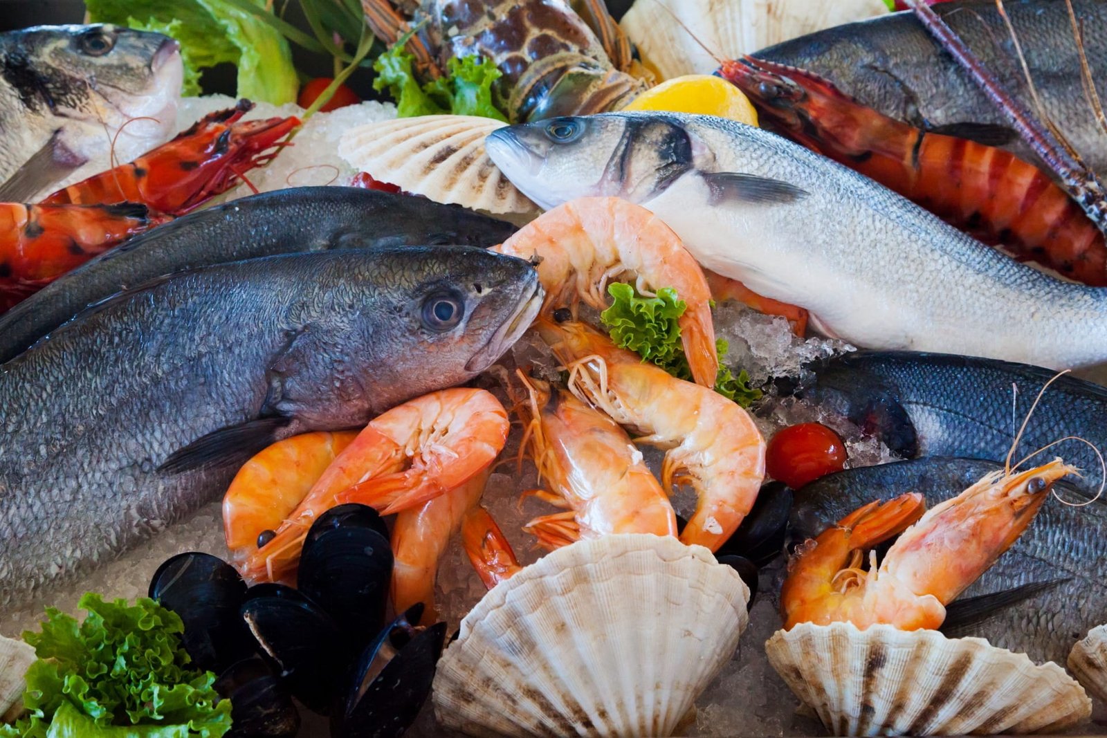 macro shot photography of assorted seafoods healthy fresh fish 2k