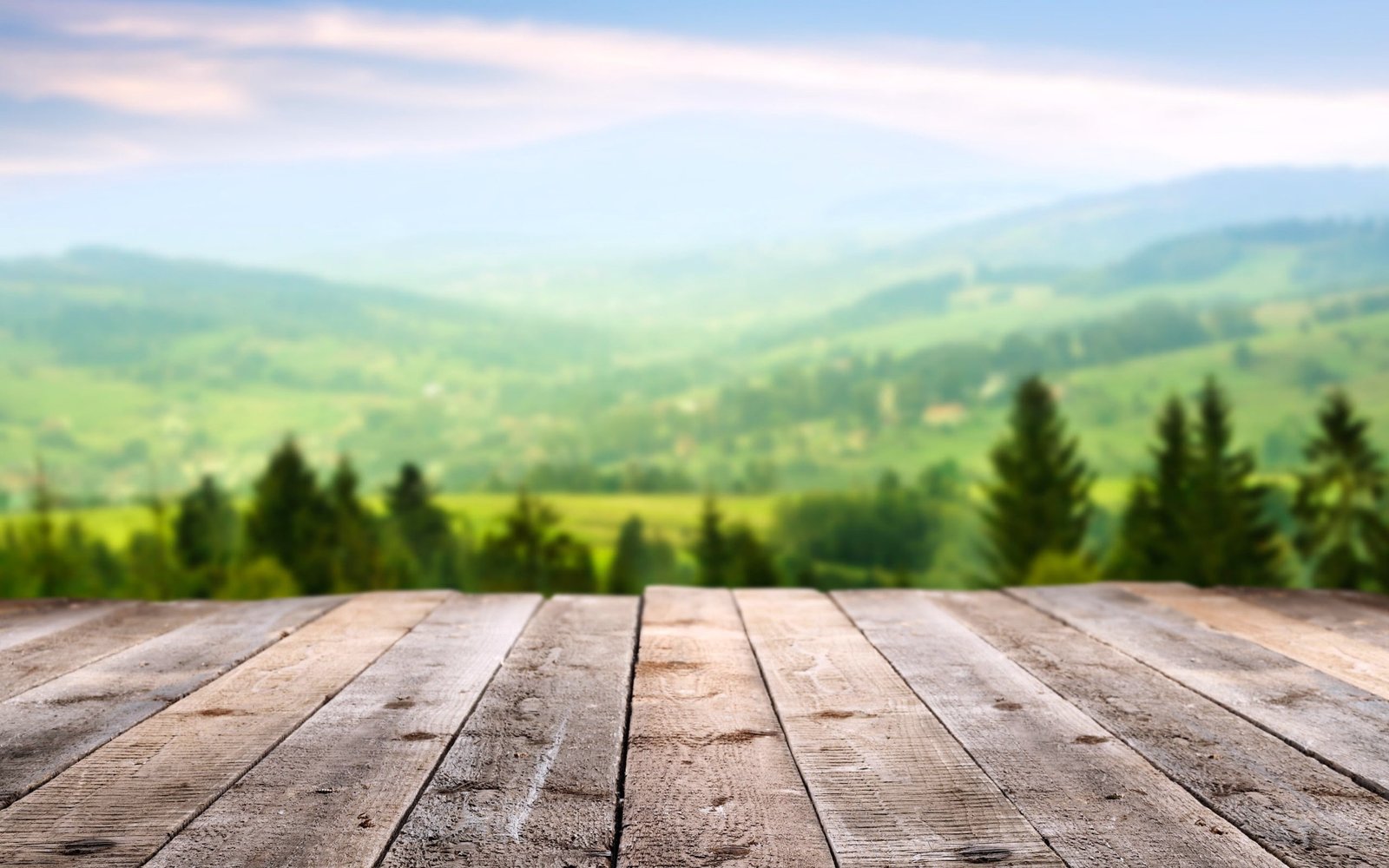 Mood forest floor brown wood mountains sky space board 2k