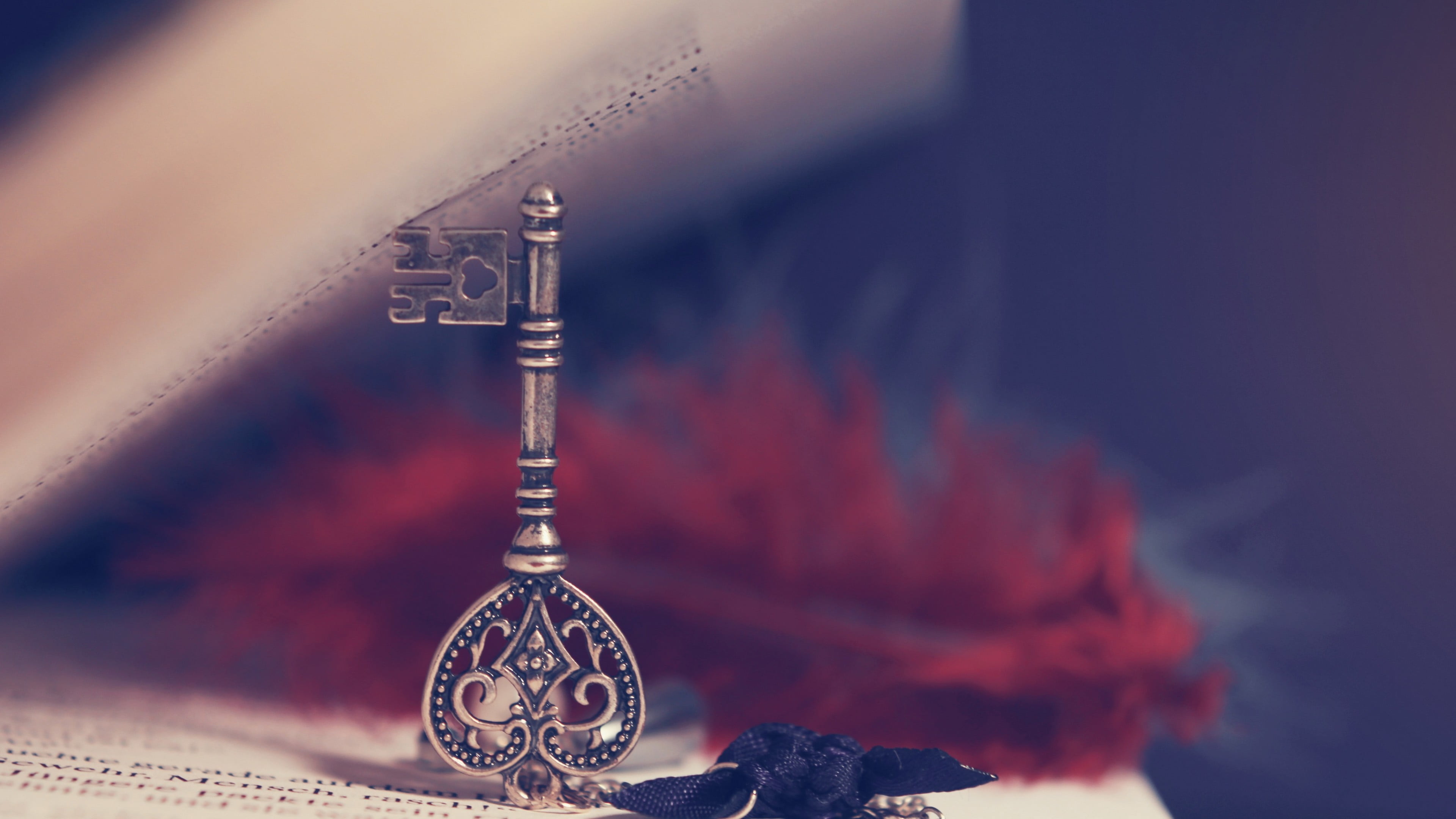 silver skeleton key grey on book keys macro books 2k 4k