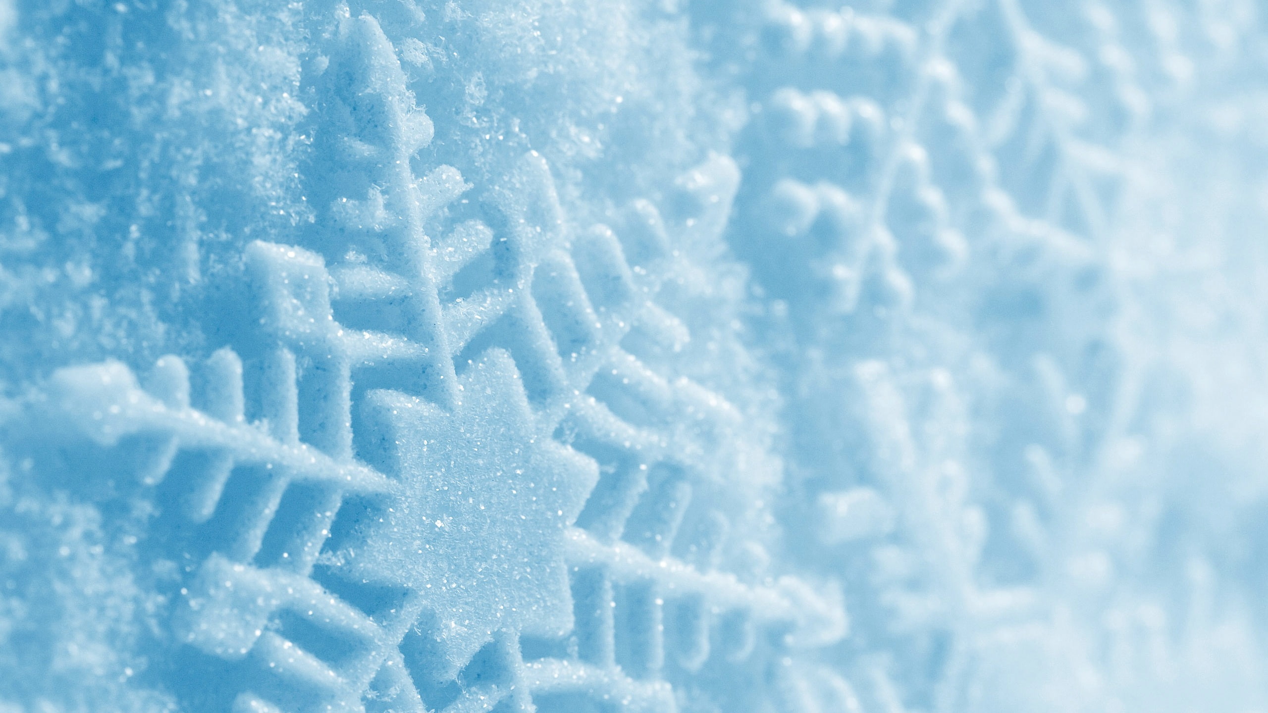 Snowflake Snow Macro Winter HD nature 2k