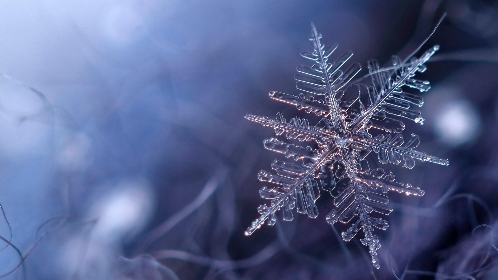 snowflake blue frost freezing winter frozen macro cold 2k