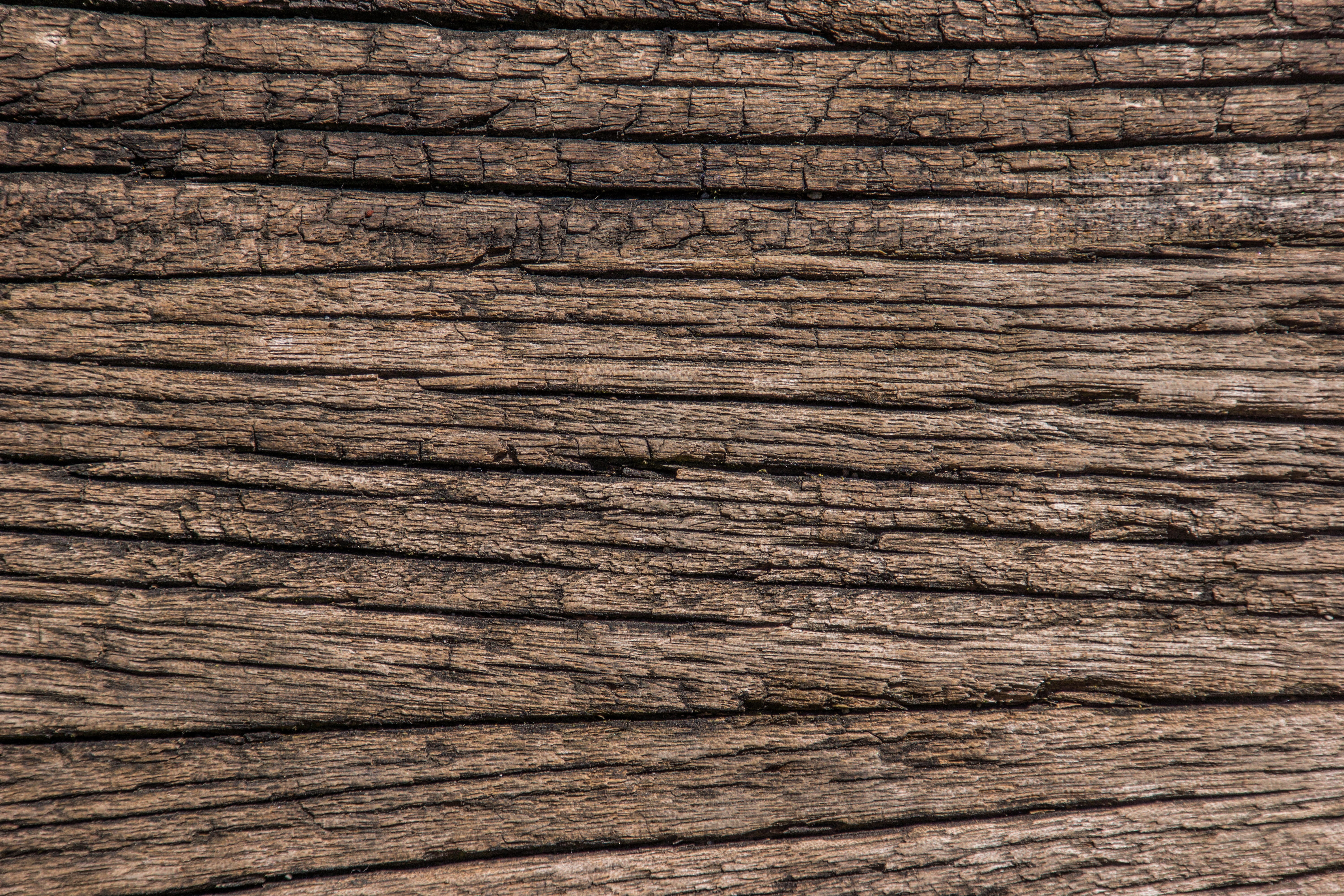 wood old oak veins ancient structure texture boards 2k 4k 5k