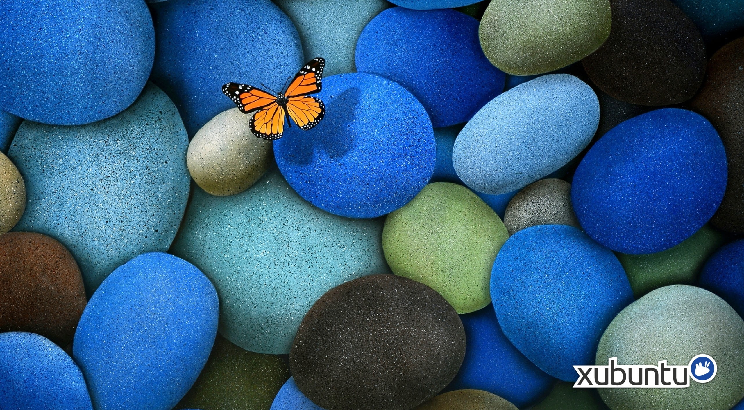 Xubuntu Blue Rock orange and black butterfly wallpaper Computers 2k