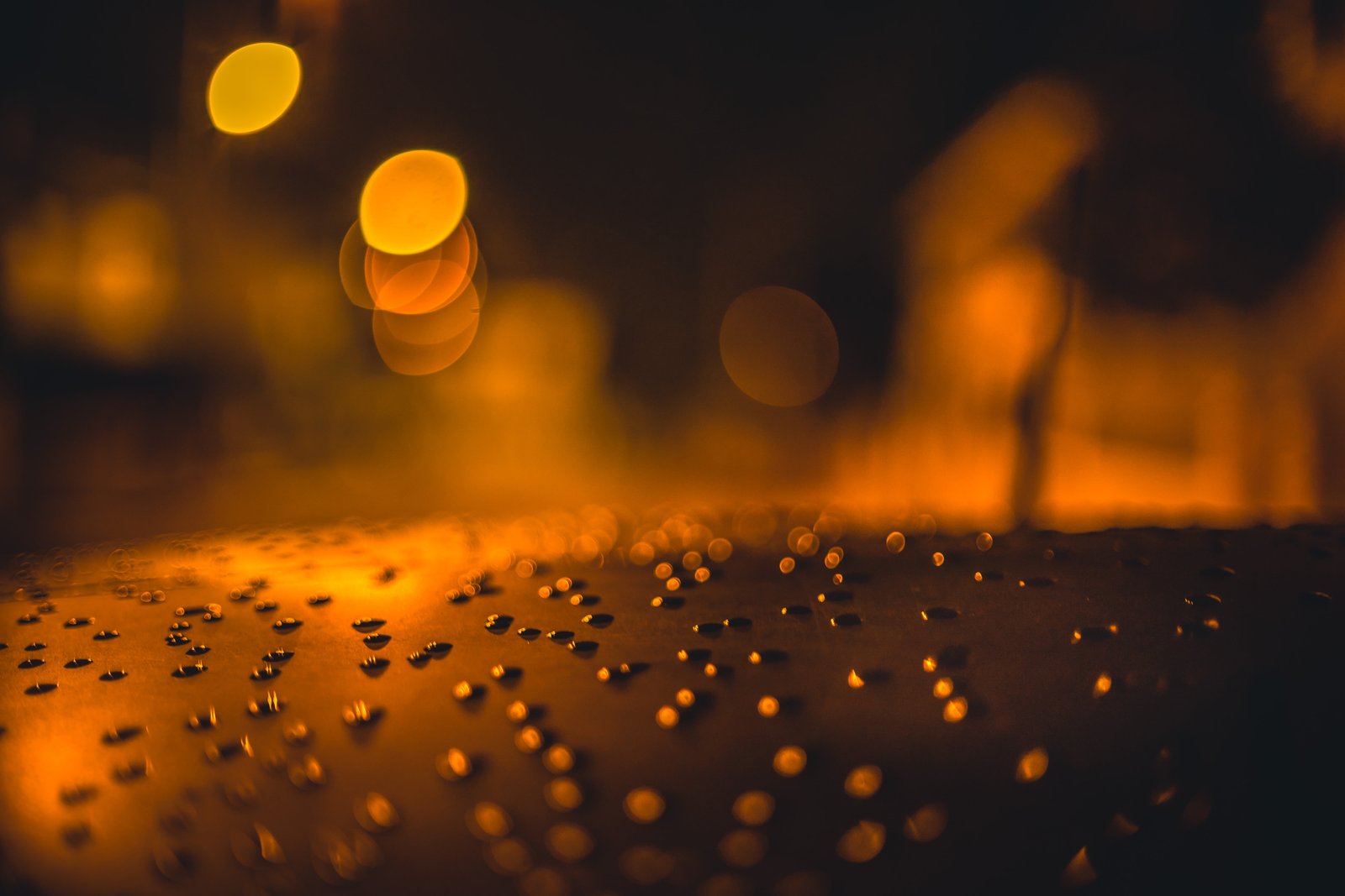 blur bokeh dark evening focus glisten illuminated light 2k 4k 5k