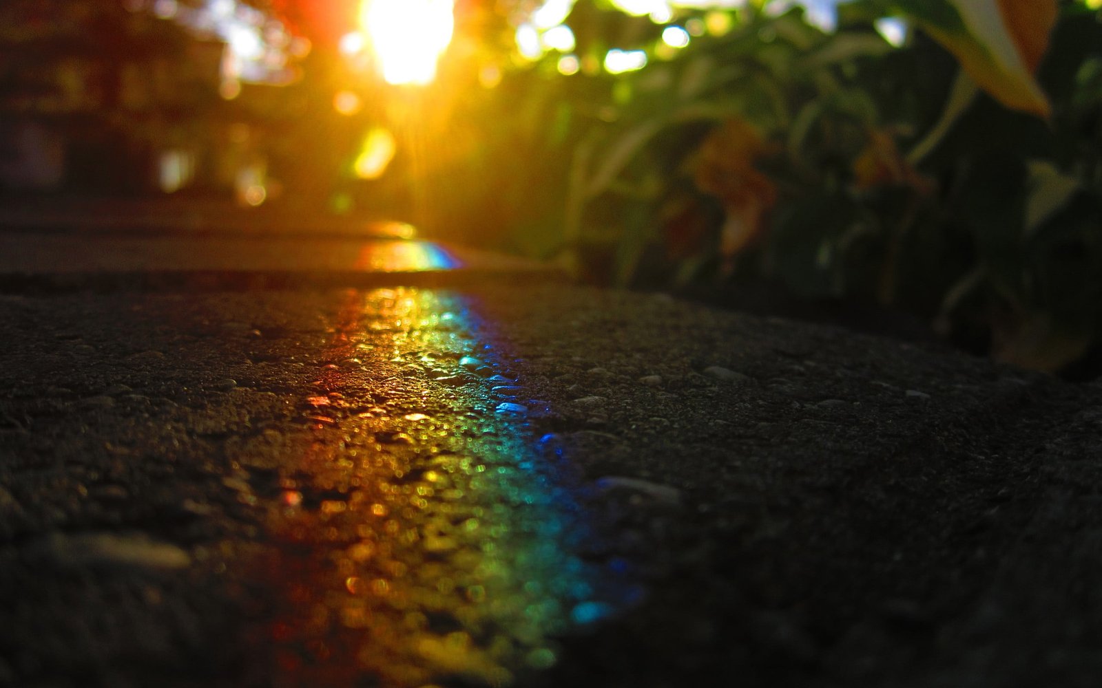 bokeh photography of rainbow light macro asphalt road sunrise 2k