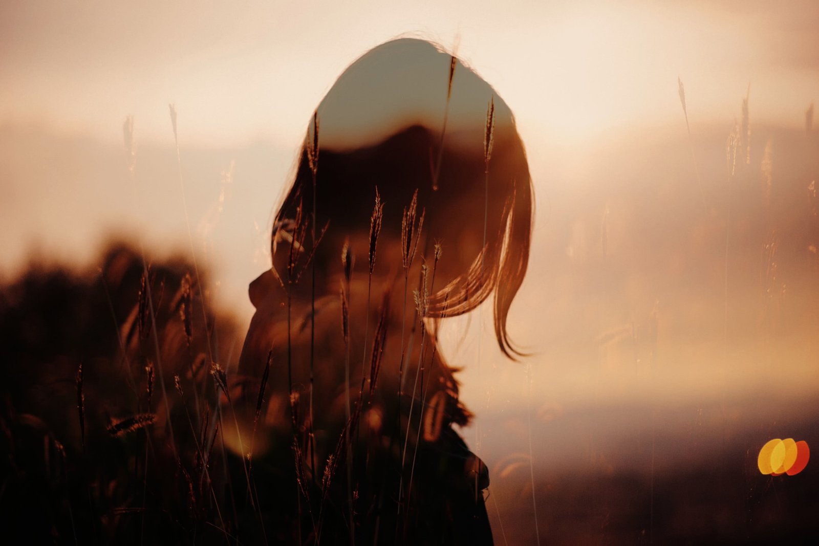 brown leaves silhouette photography of woman women outdoors 2k
