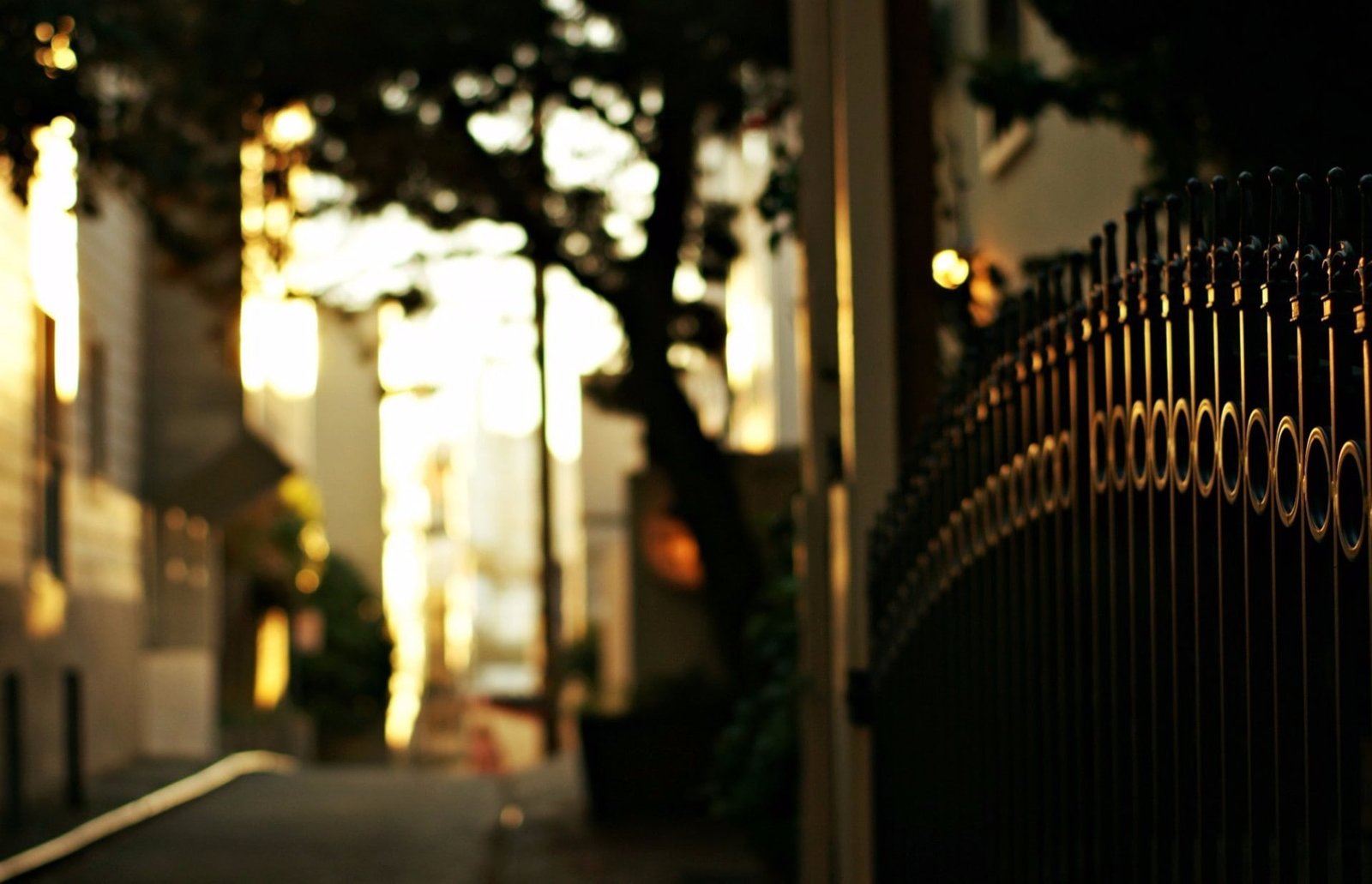 fence bokeh depth of field 2k