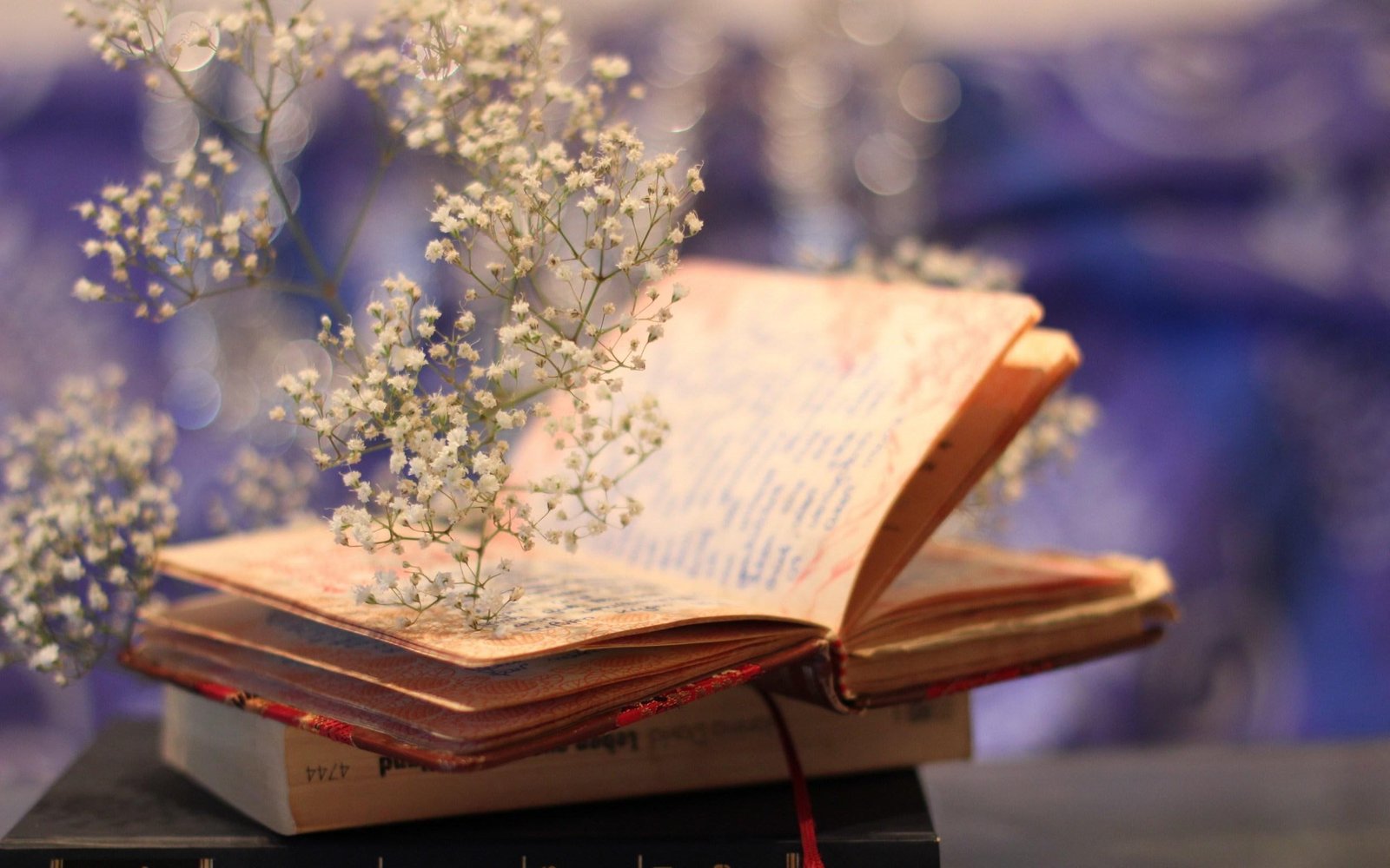 Flowers Book Bokeh 2k