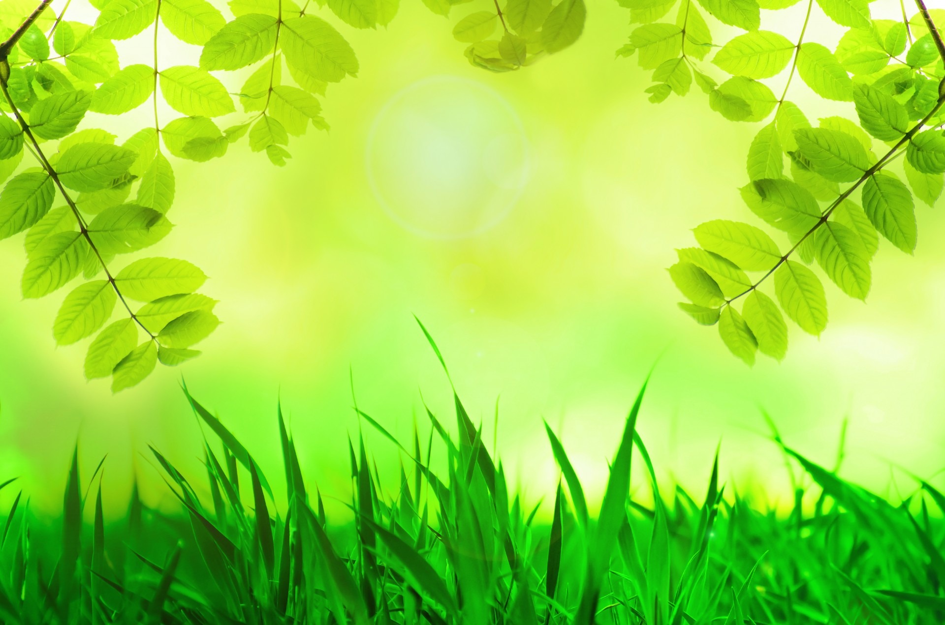 green grass near leaf plant spring leaves tree easter 2k