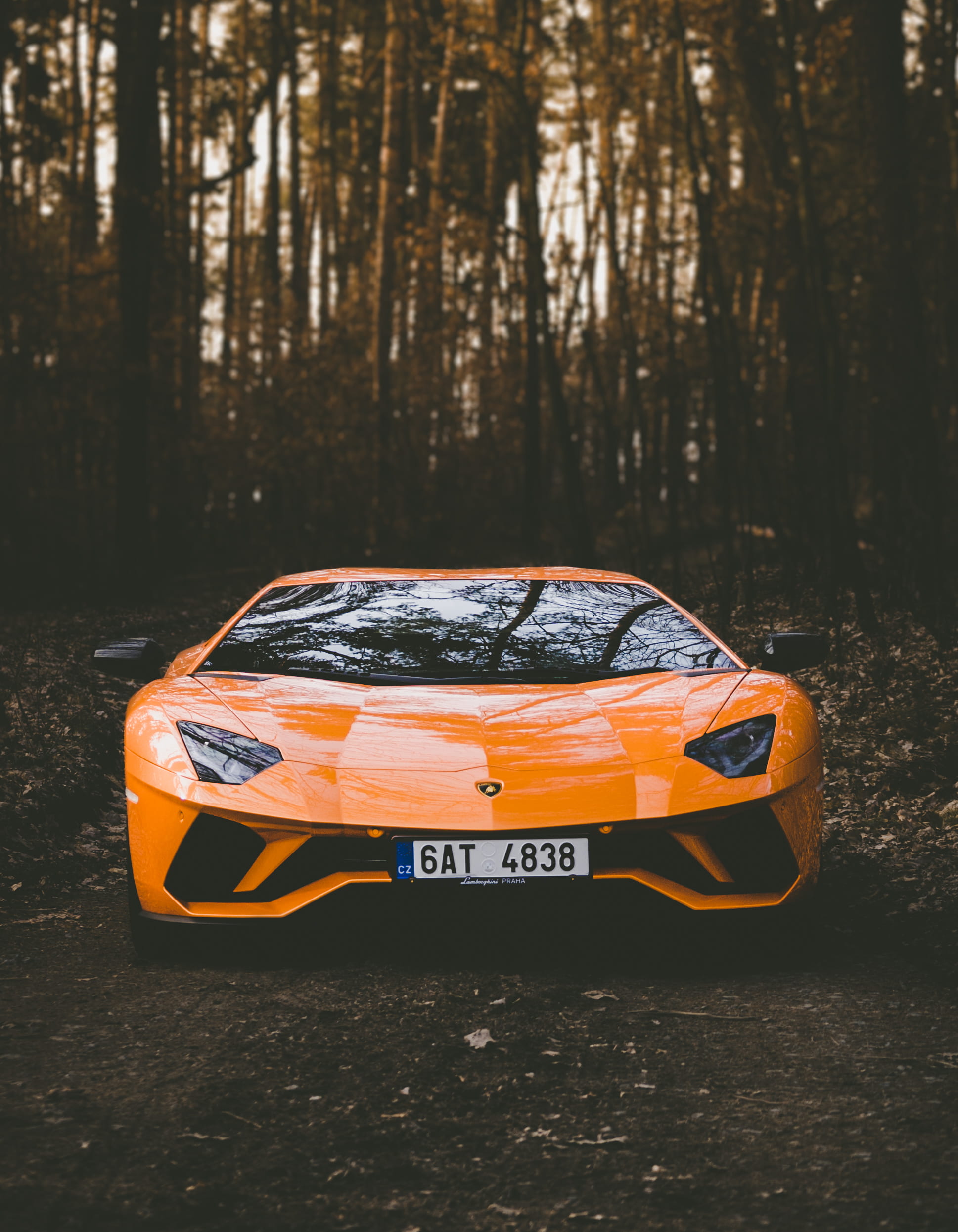 orange Lamborghini car photo of yellow Aventador near the trees during daytime 2k