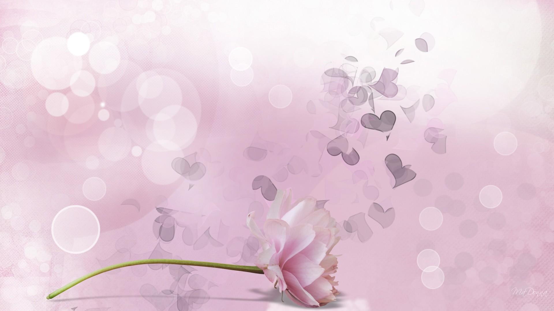 Summer Desire pink rose illustration spring firefox persona 2k