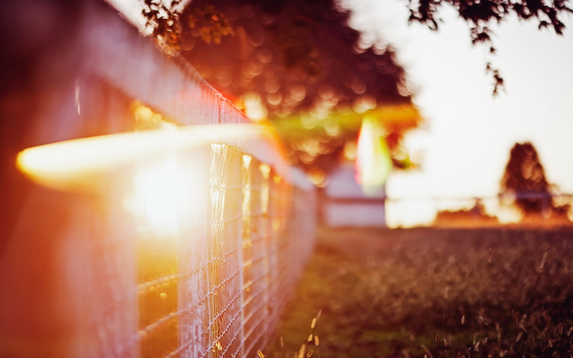 sunlight depth of field bokeh fence nature 2k