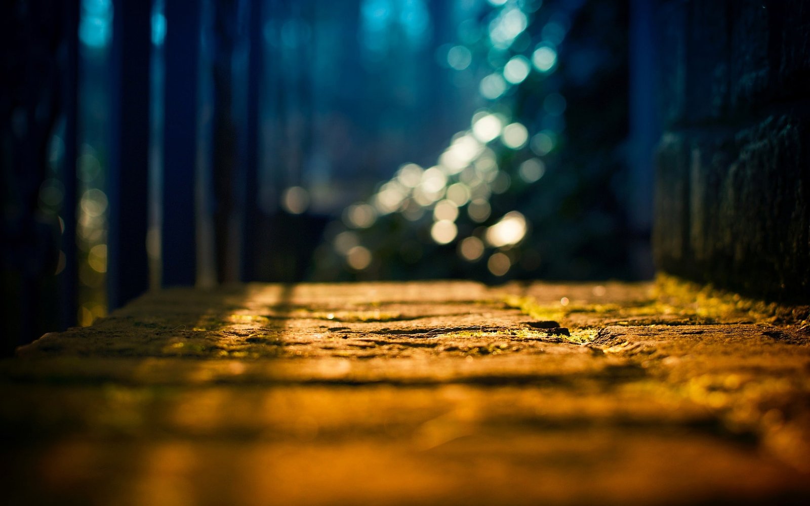 the sun macro light trees background earth blur widescreen 2k