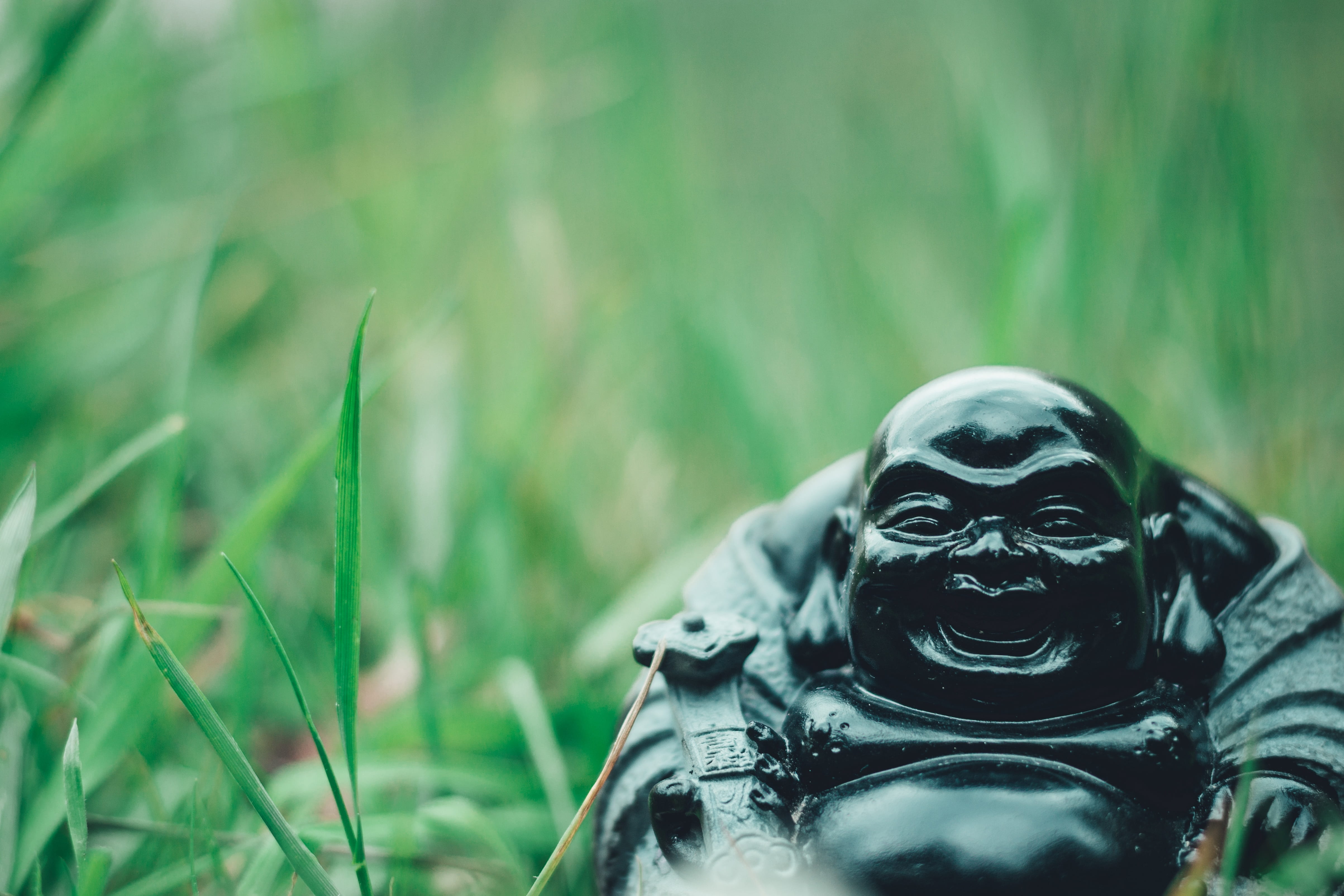 Budai on green grass during daytime buddha religion laughing 2k 4k 5k