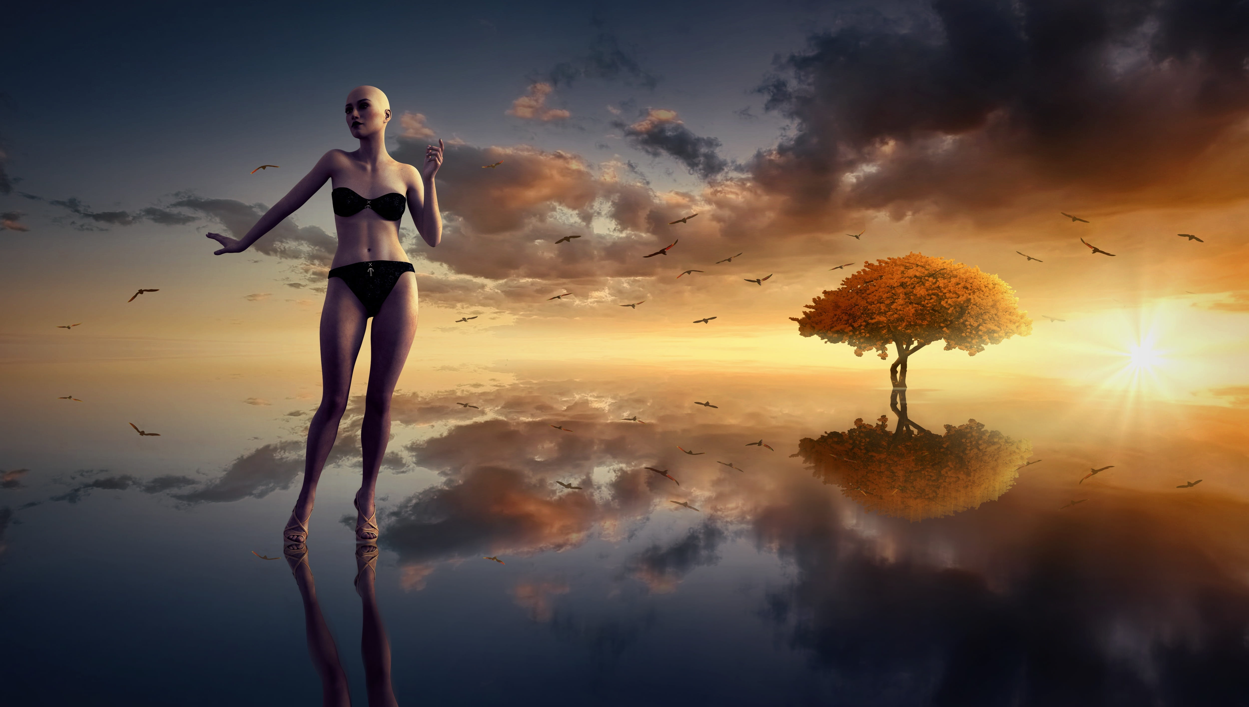 fantasy sun water clouds mirroring tree landscape nature 2k 4k 5k