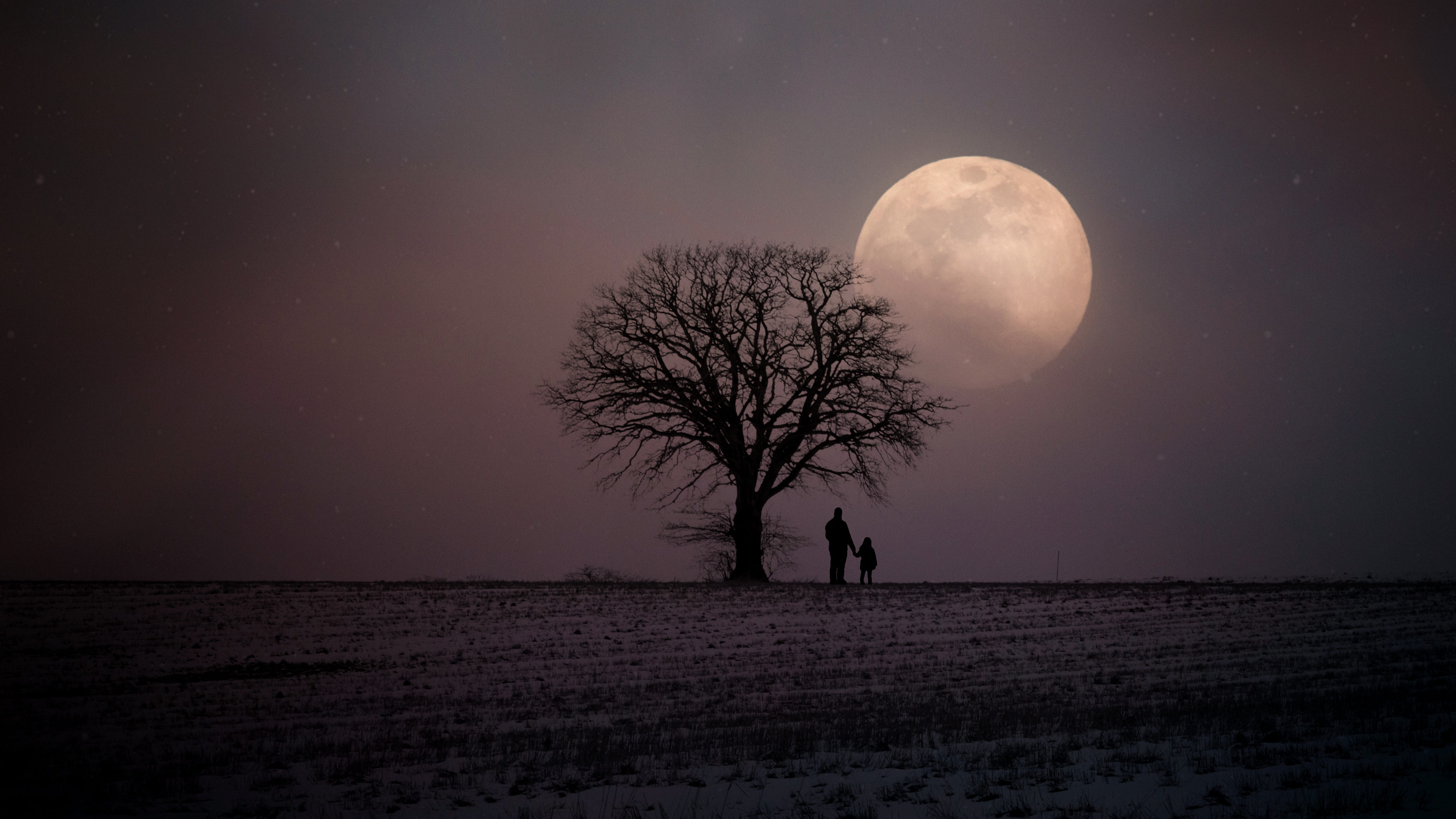father and child standing beside baretree looking moon winter 2k 4k 5k