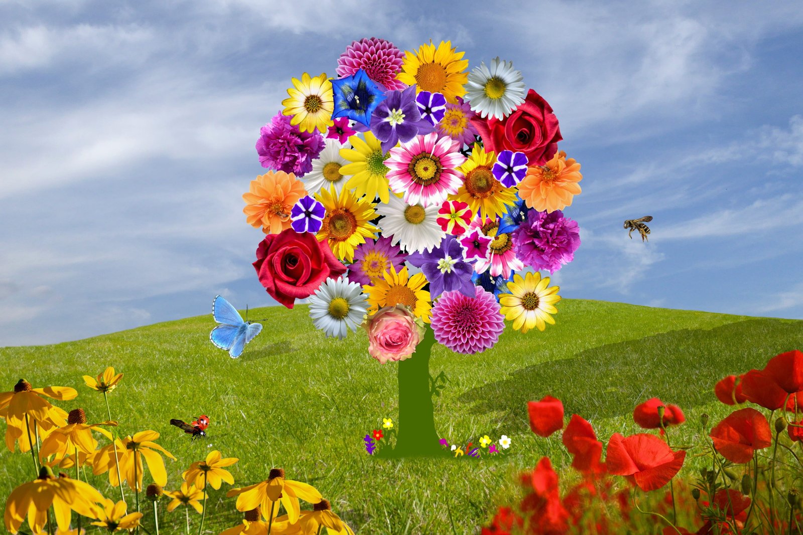 flowers purple flower summer spring blossom 2k 4k