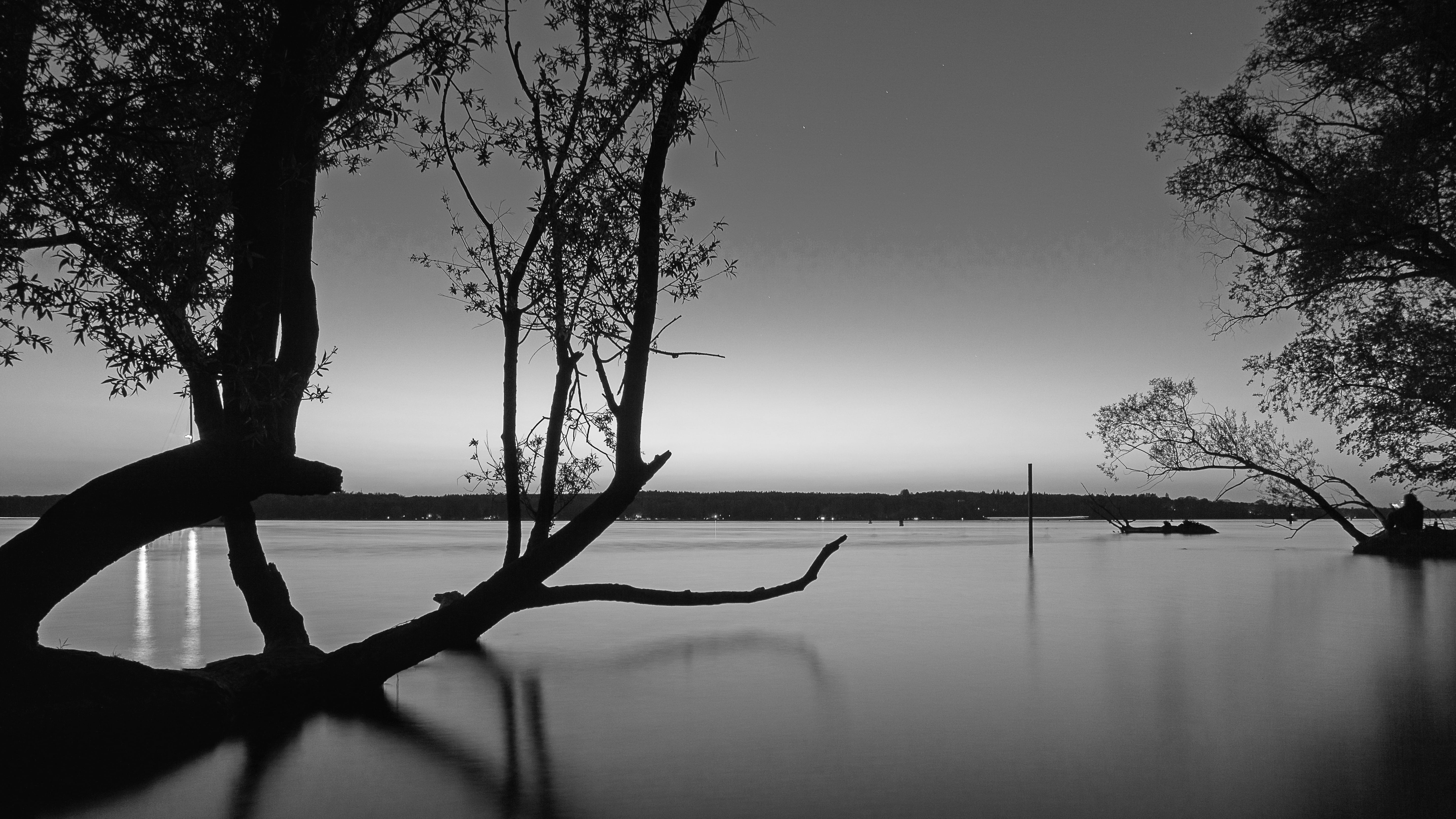 grayscale photo of body water with trees bending near boat 2k 4k 5k