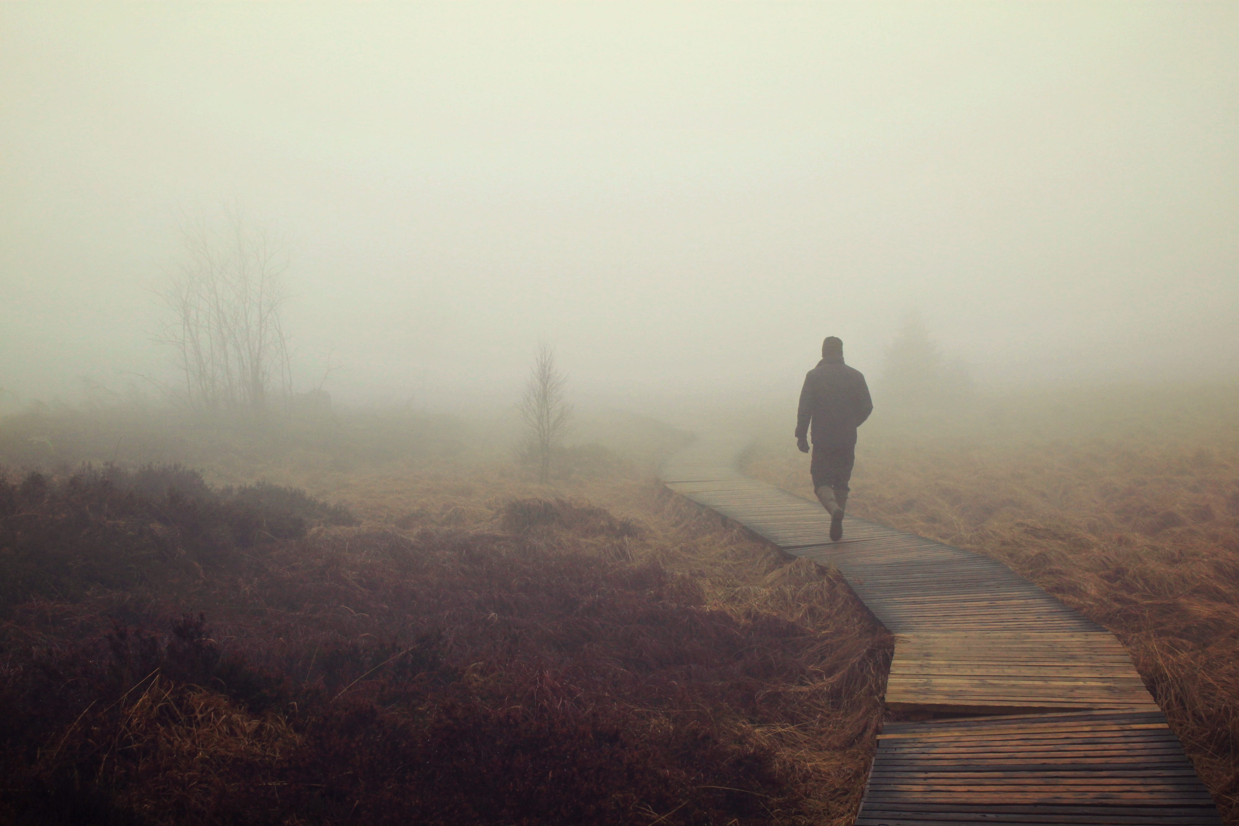 man walking on boardwalk with fogs moor marsh nebellandschaft 2k 4k