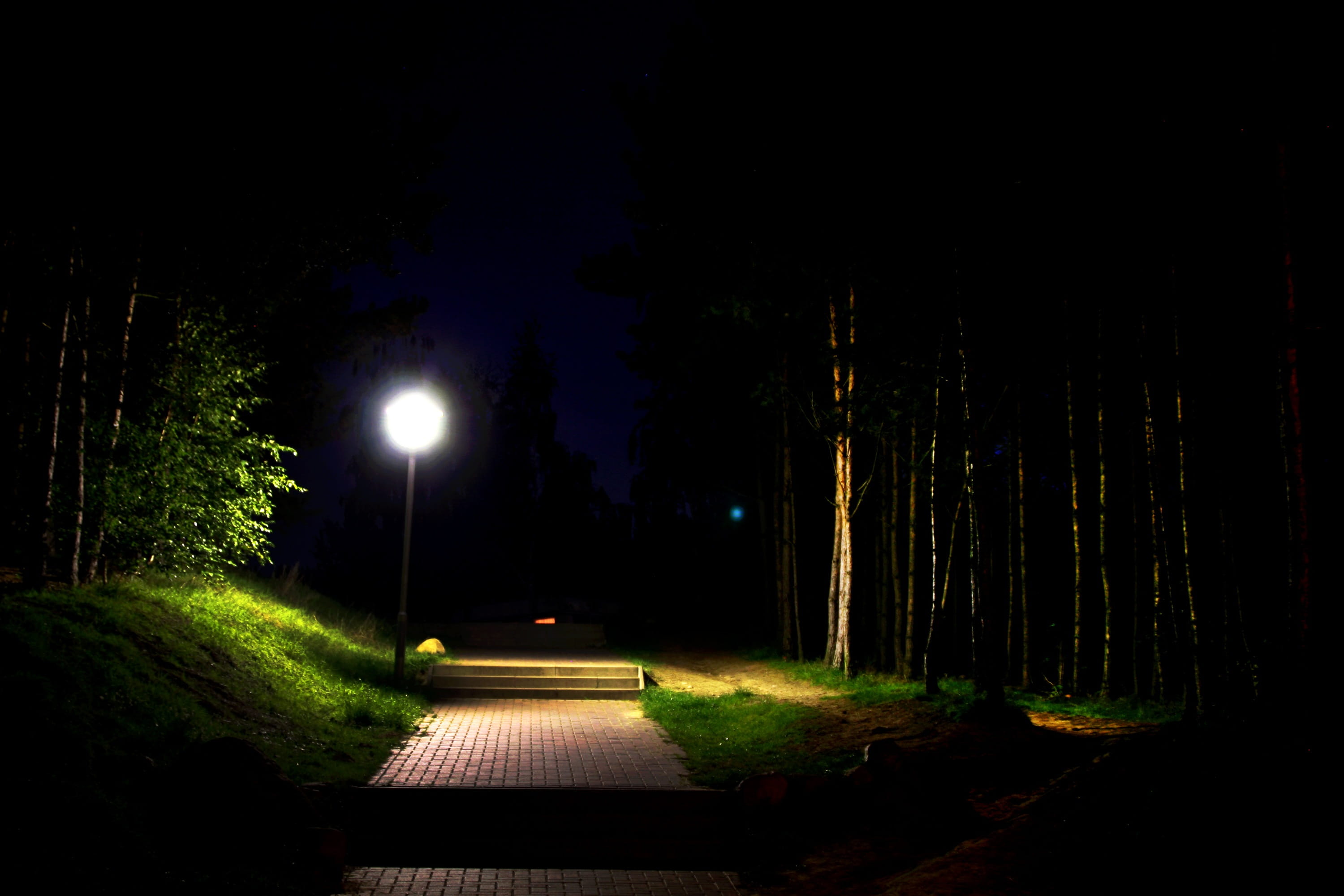 pathway between green leafed tree at nighttime Gloomy Moonlight 2k