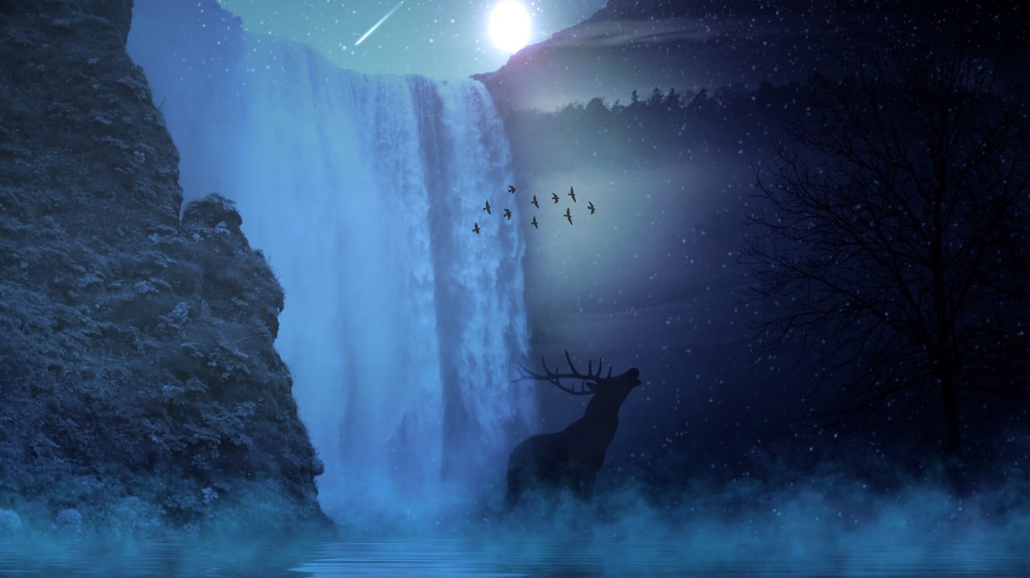 Reindeer and water fall during night time hirsch wild sun 2k