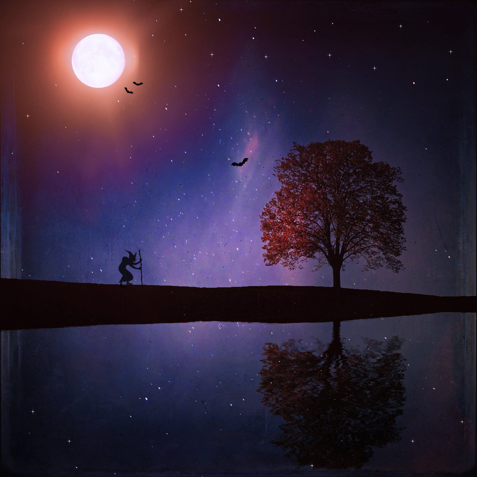 silhouette of person holding stick near tree and body water 2k 4k