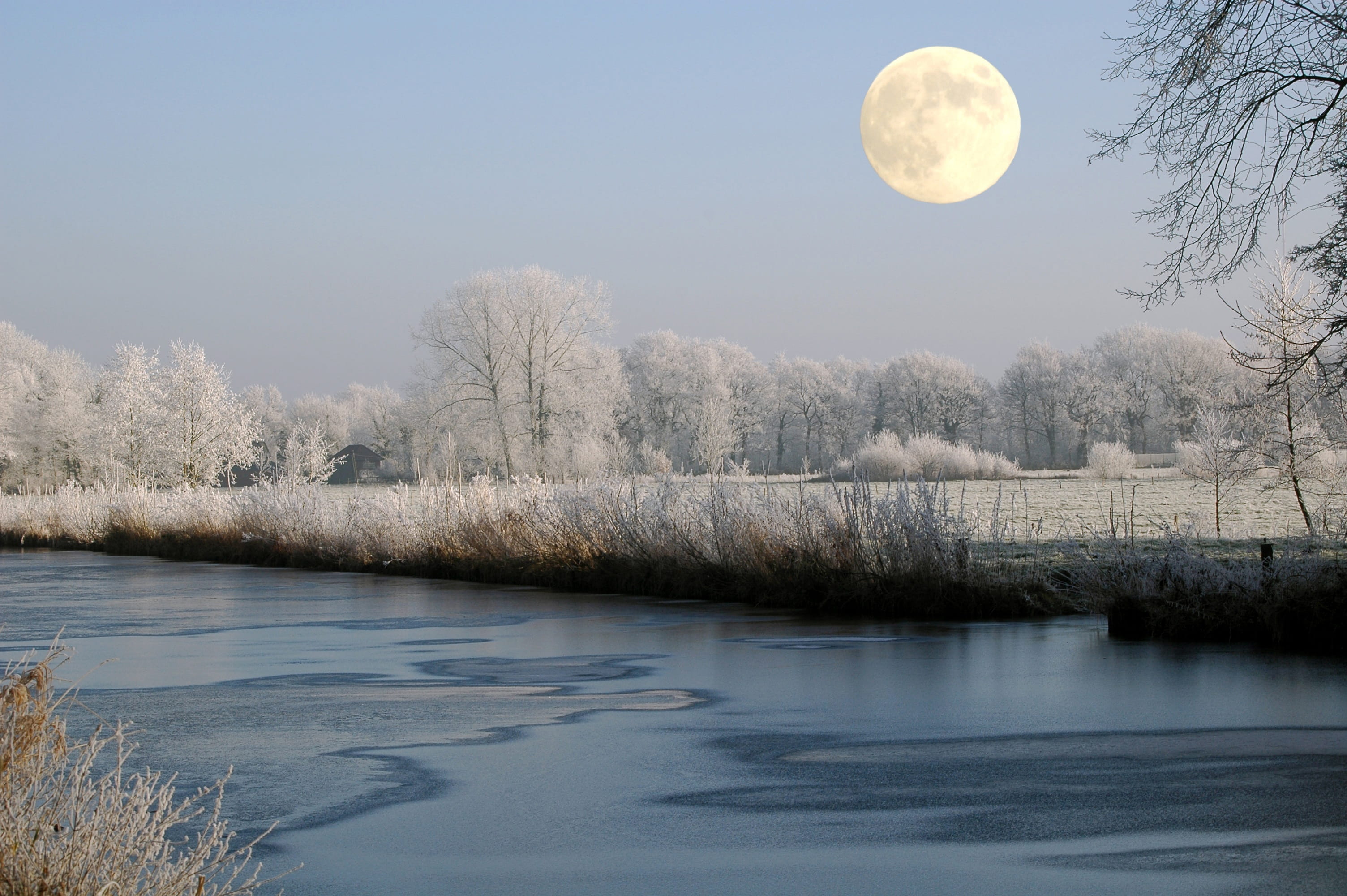 snow covered trees near the creek under white moon body of water 2k