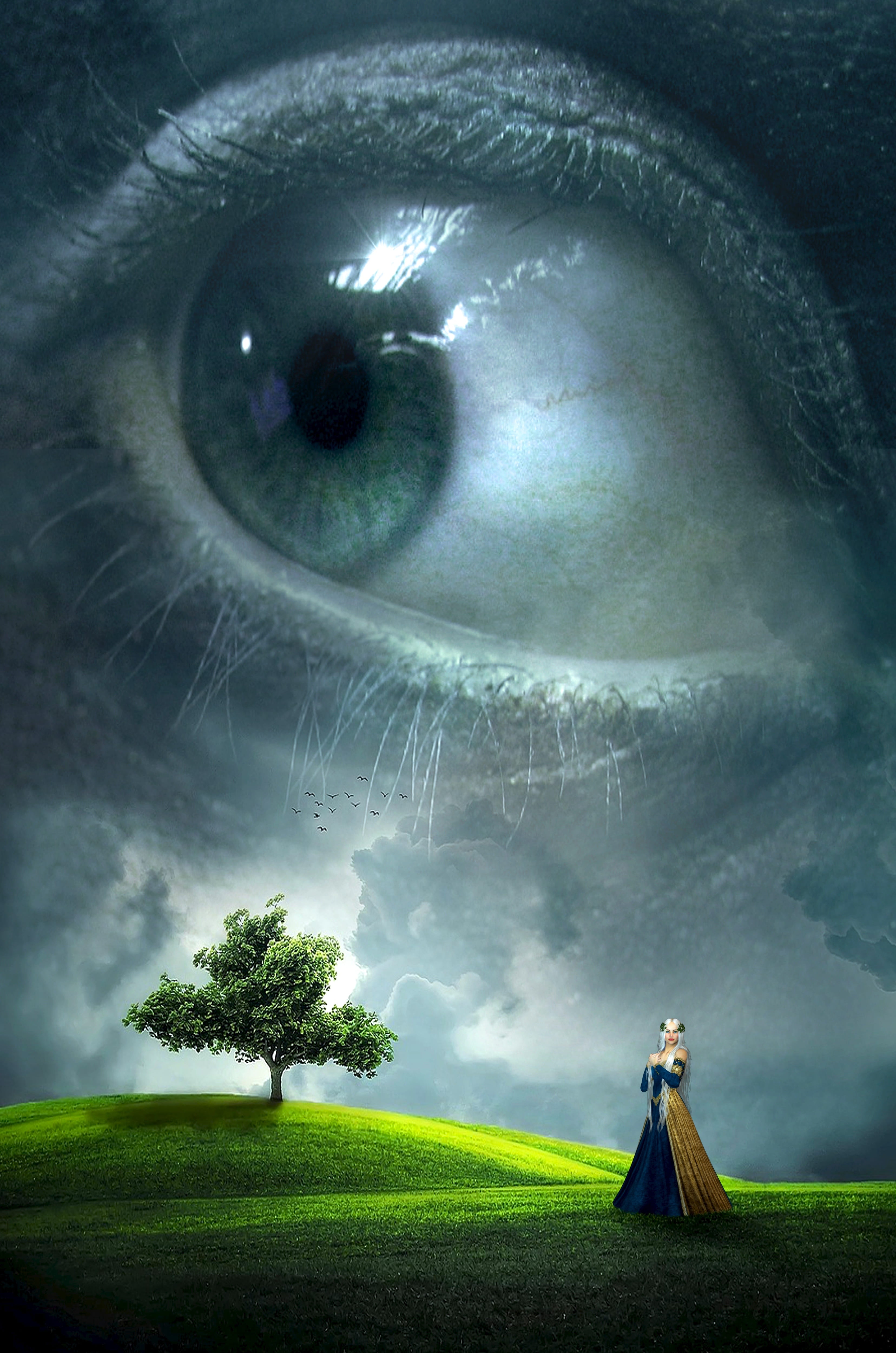woman standing on grassy hill fantasy book cover eye landscape 2k