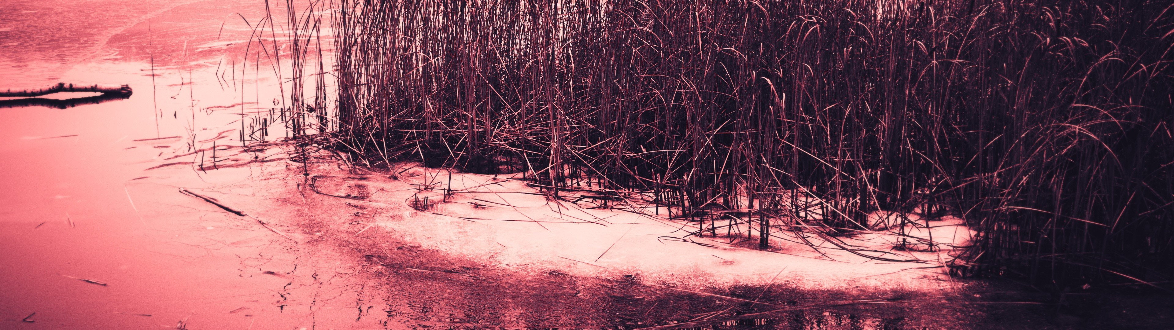 px Dual Monitors Multiple Display Technology Linux HD Art widescreen dualmonitor dualscreen 2k 4k