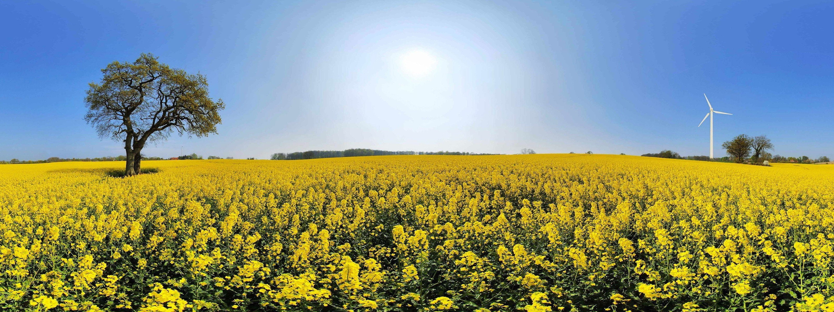 animals dual duel landscapes nature screen widescreen dualmonitor dualscreen 2k