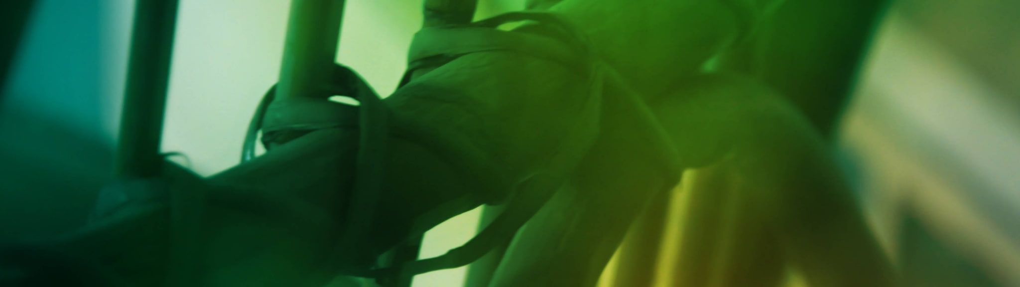 dual screen theme background images green color close up widescreen dualmonitor dualscreen 2k