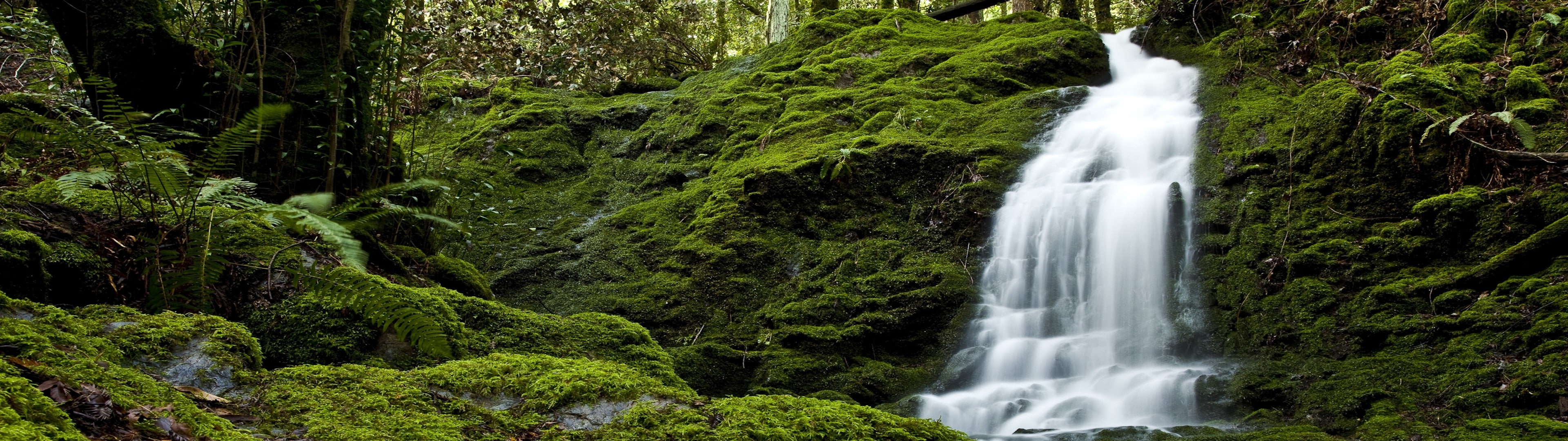 dual screen landscape nature tree motion plant waterfall widescreen dualmonitor dualscreen 2k 4k