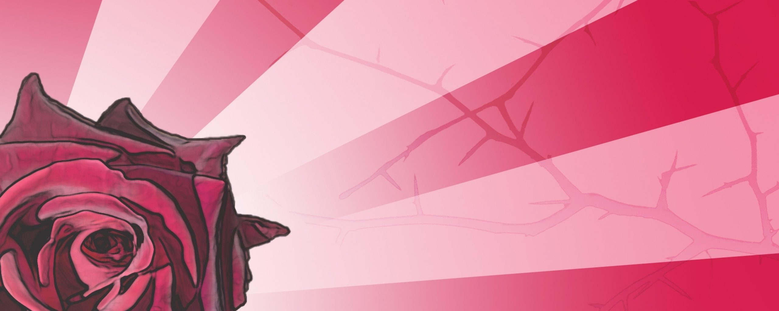 dual monitor multi screen Widescreen pink color creativity widescreen dualmonitor dualscreen 2k