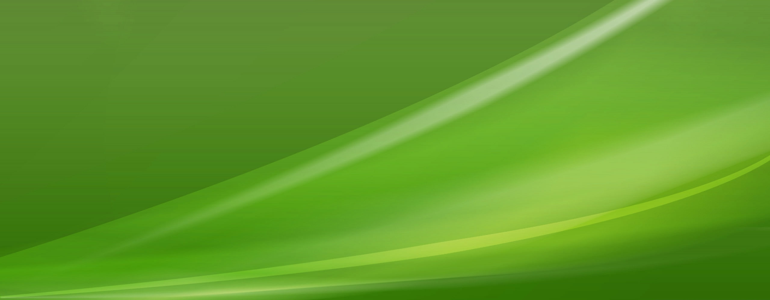 Green Dual Monitor Aero Colorful green color plant part leaf widescreen dualmonitor dualscreen 2k