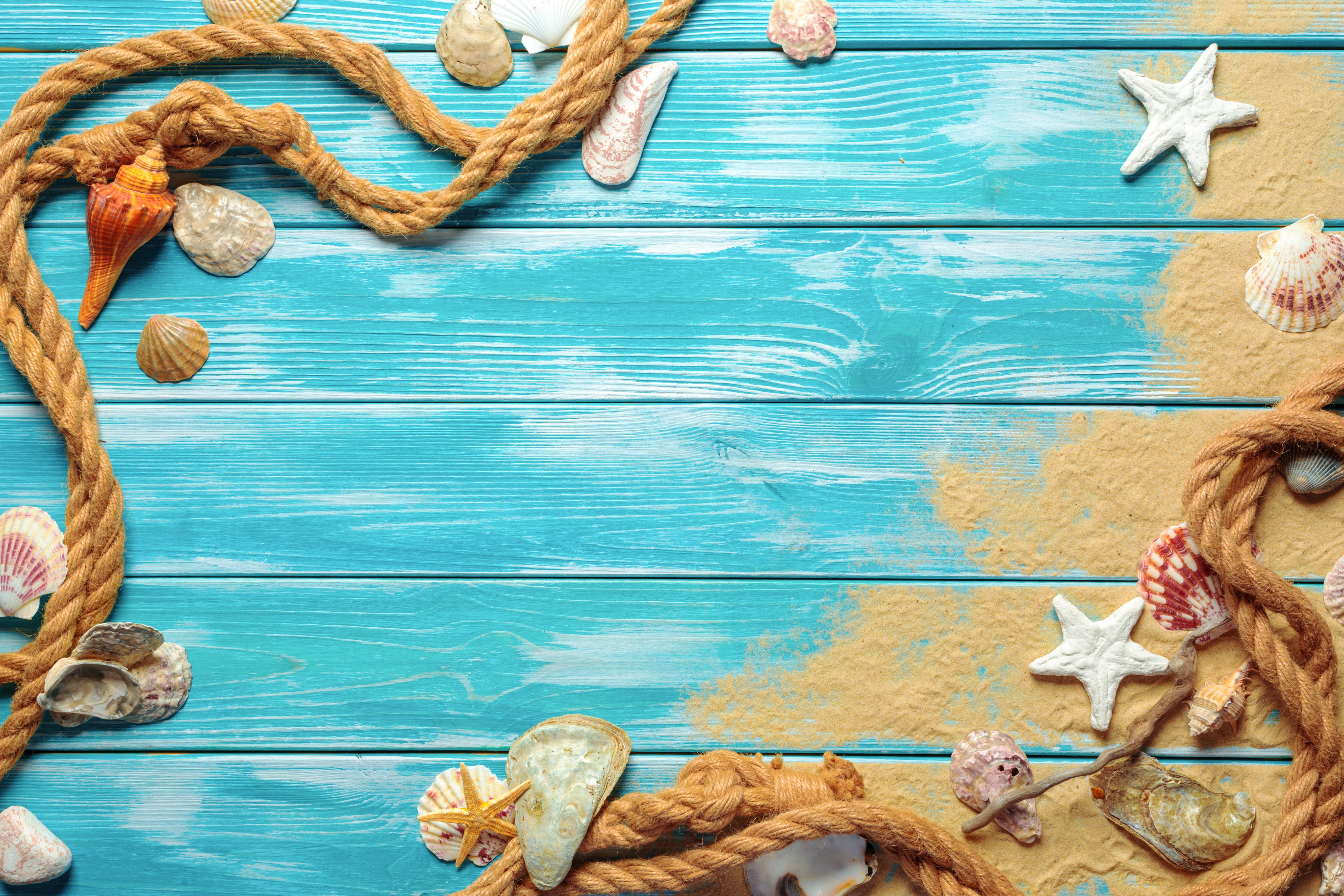 sand beach shell wood marine still life starfish seashells 2k 4k 5k