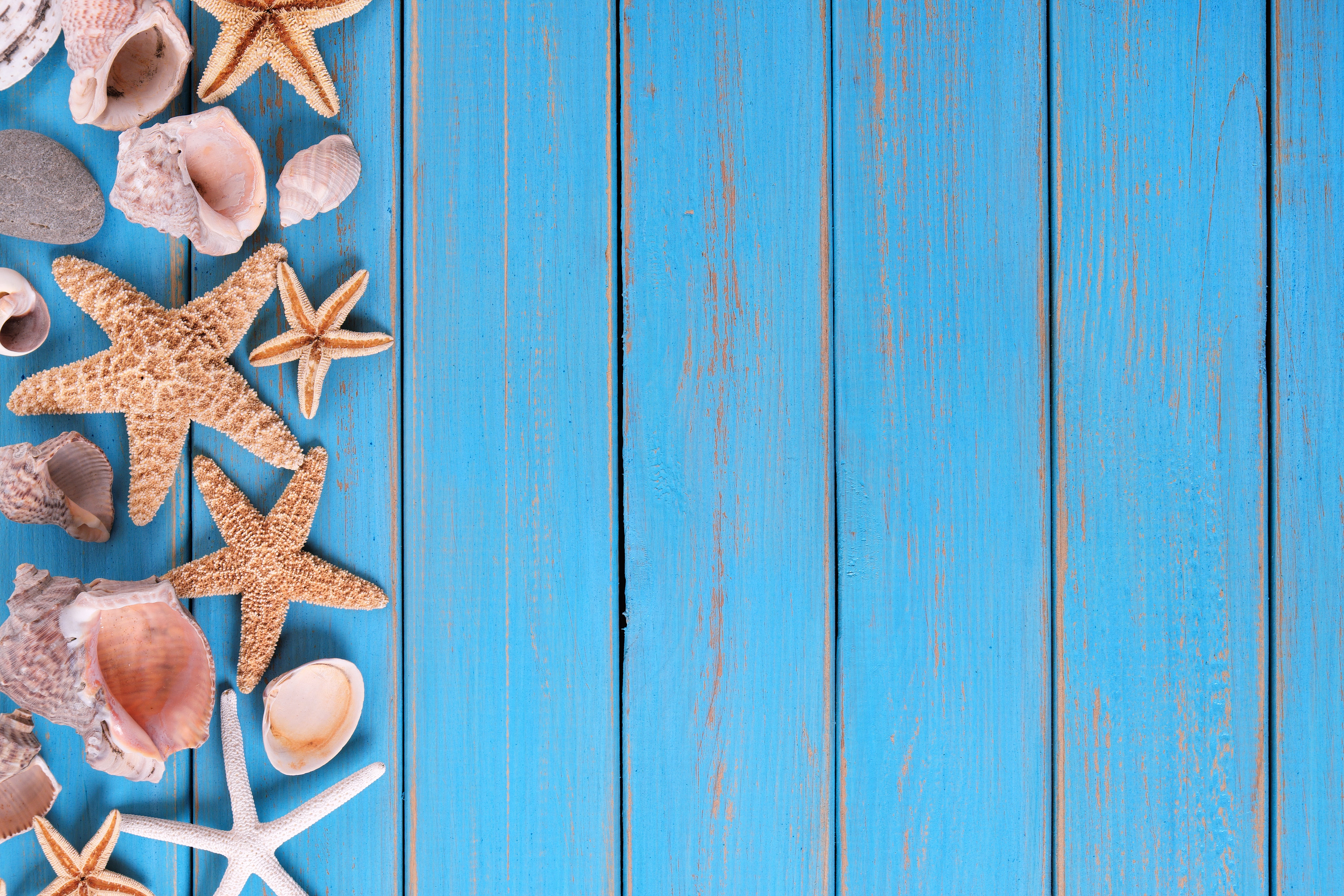 beach background Board star shell summer wood marine 2k 4k 5k