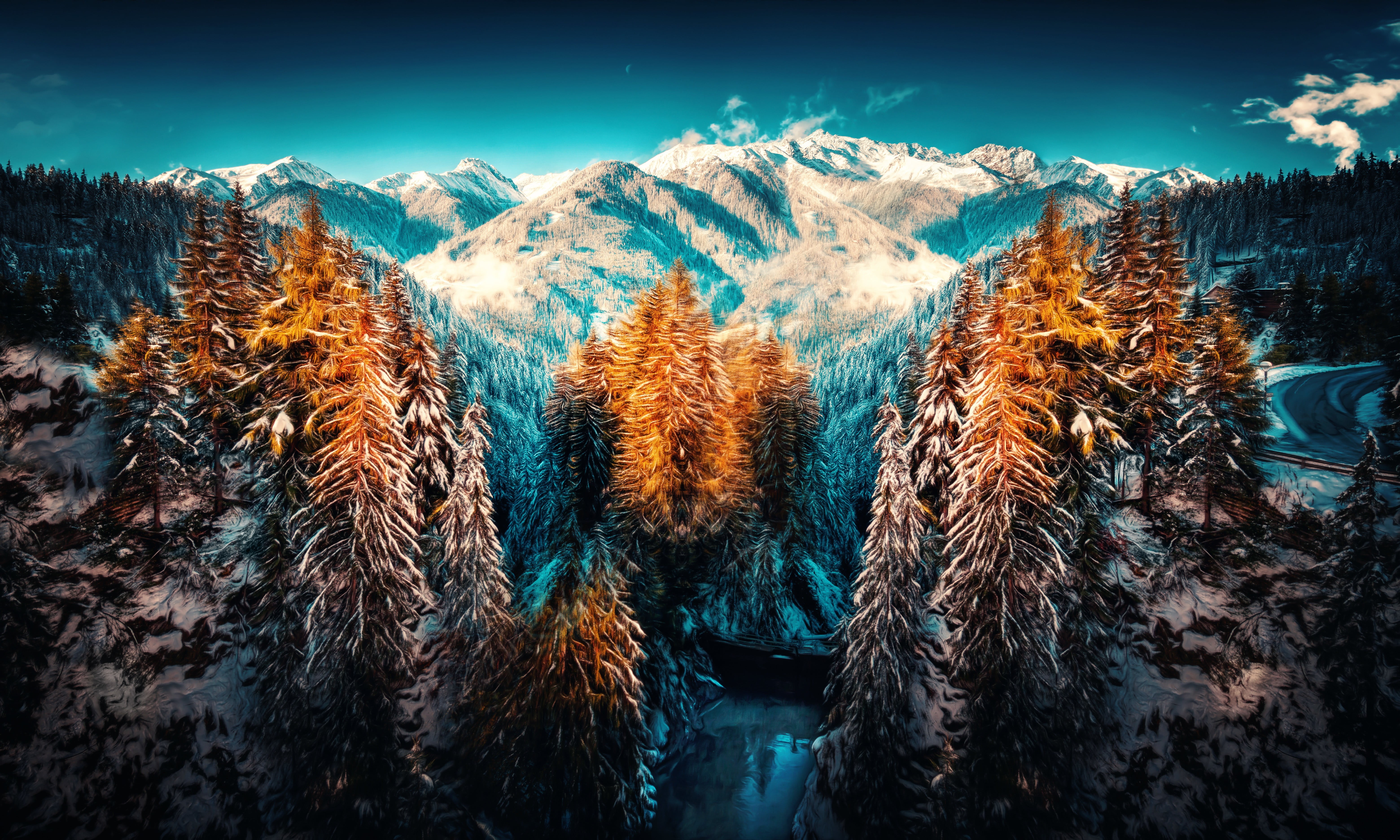 landscape photograph of forest with snow mountain winter nature 2k 4k 5k
