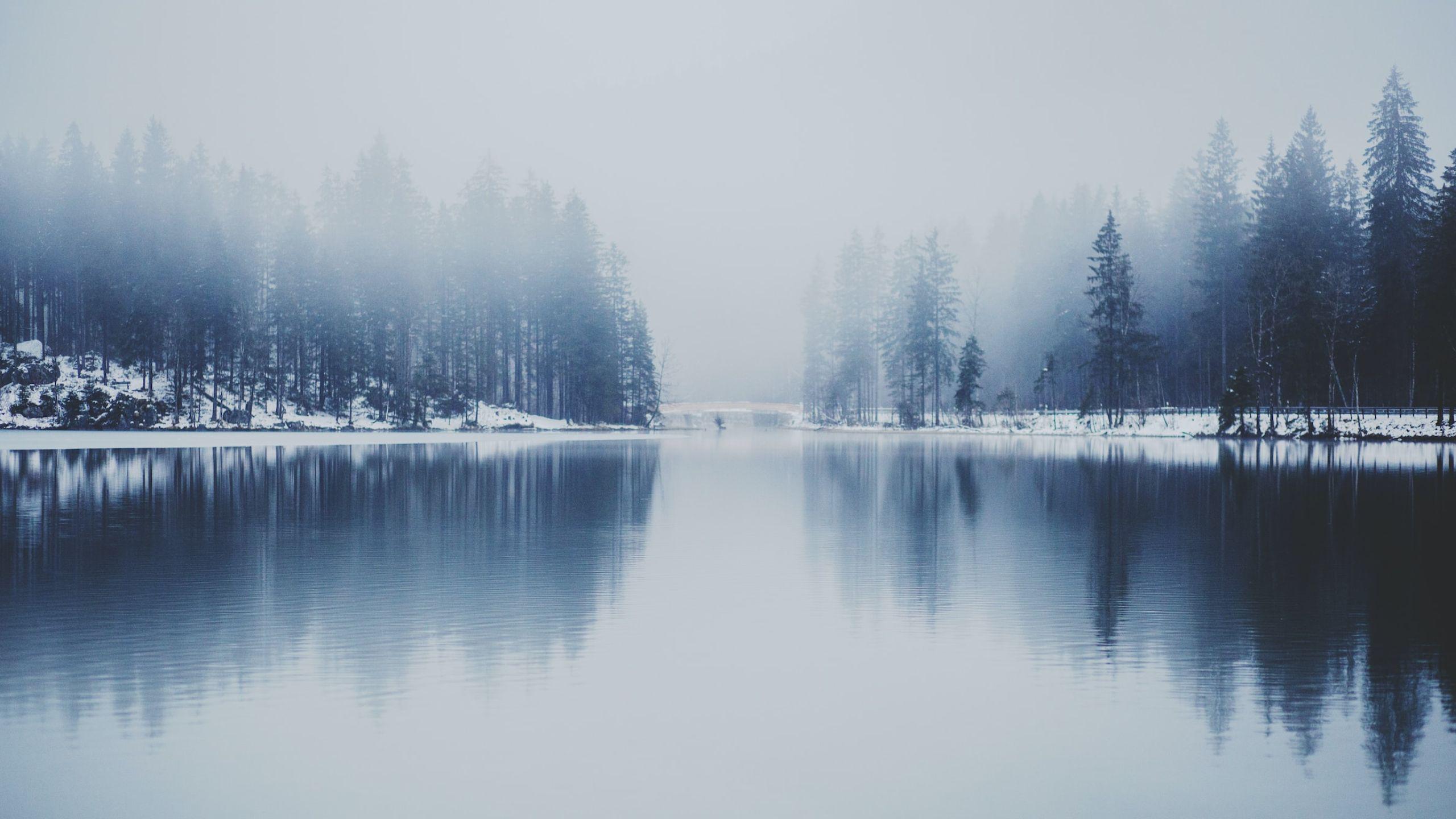 Cold Lake fog snow morning dew nature 2k