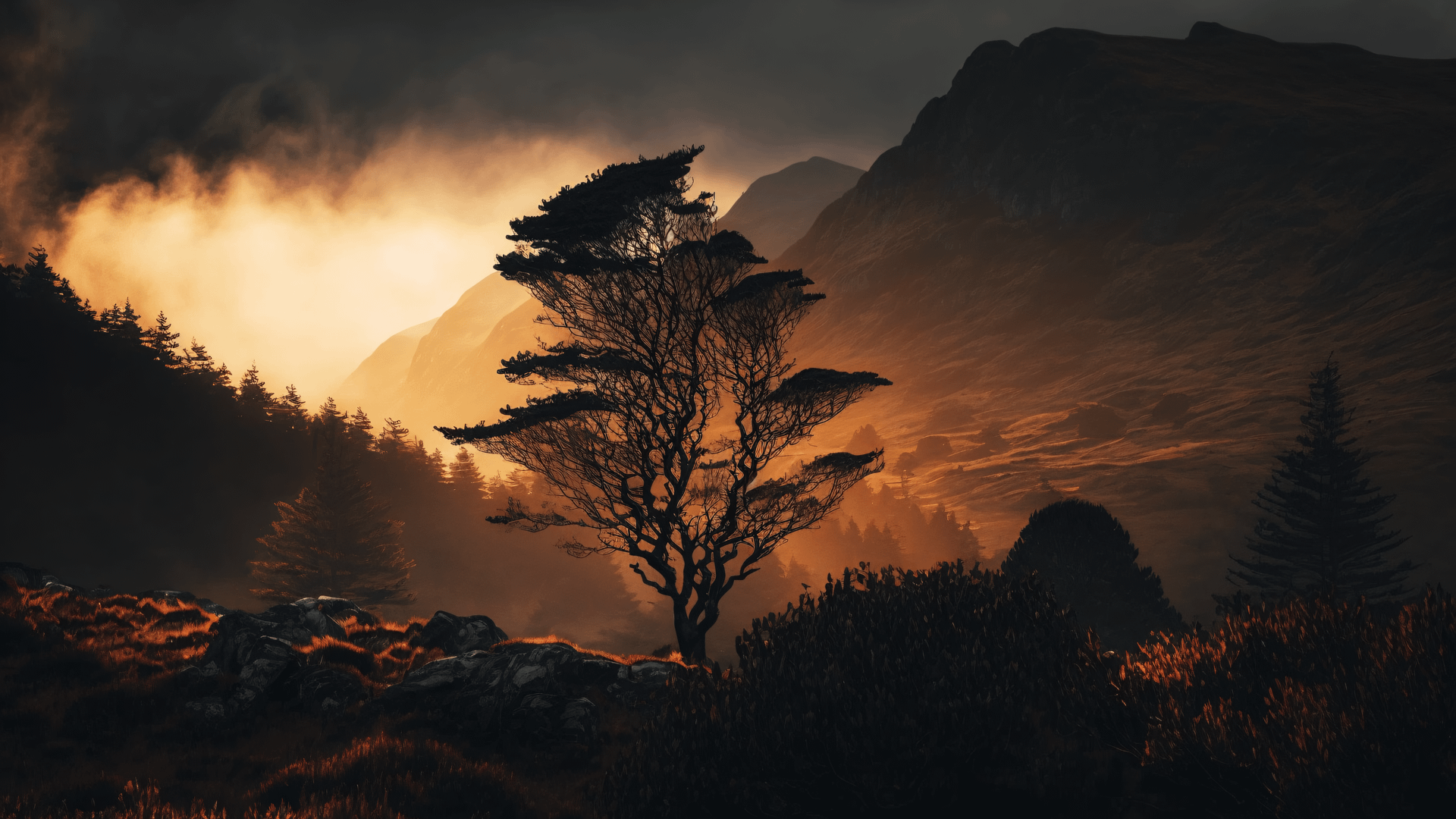 Tree silhouette nature sky evening scenery 2k