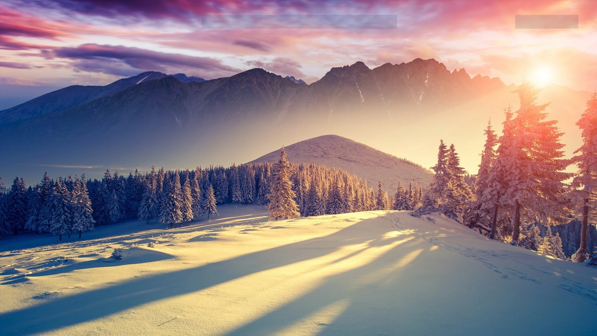Winter Shadow Sunset Wallpaper 2k