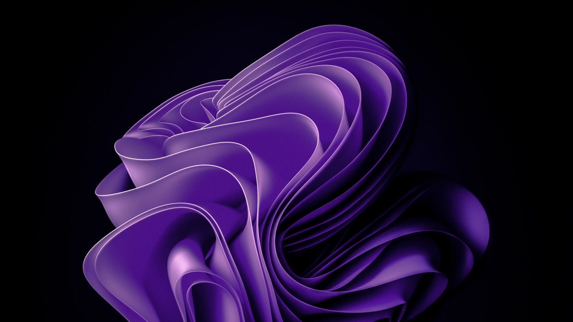 Windows 11 Abstract Purple Bloom 2k