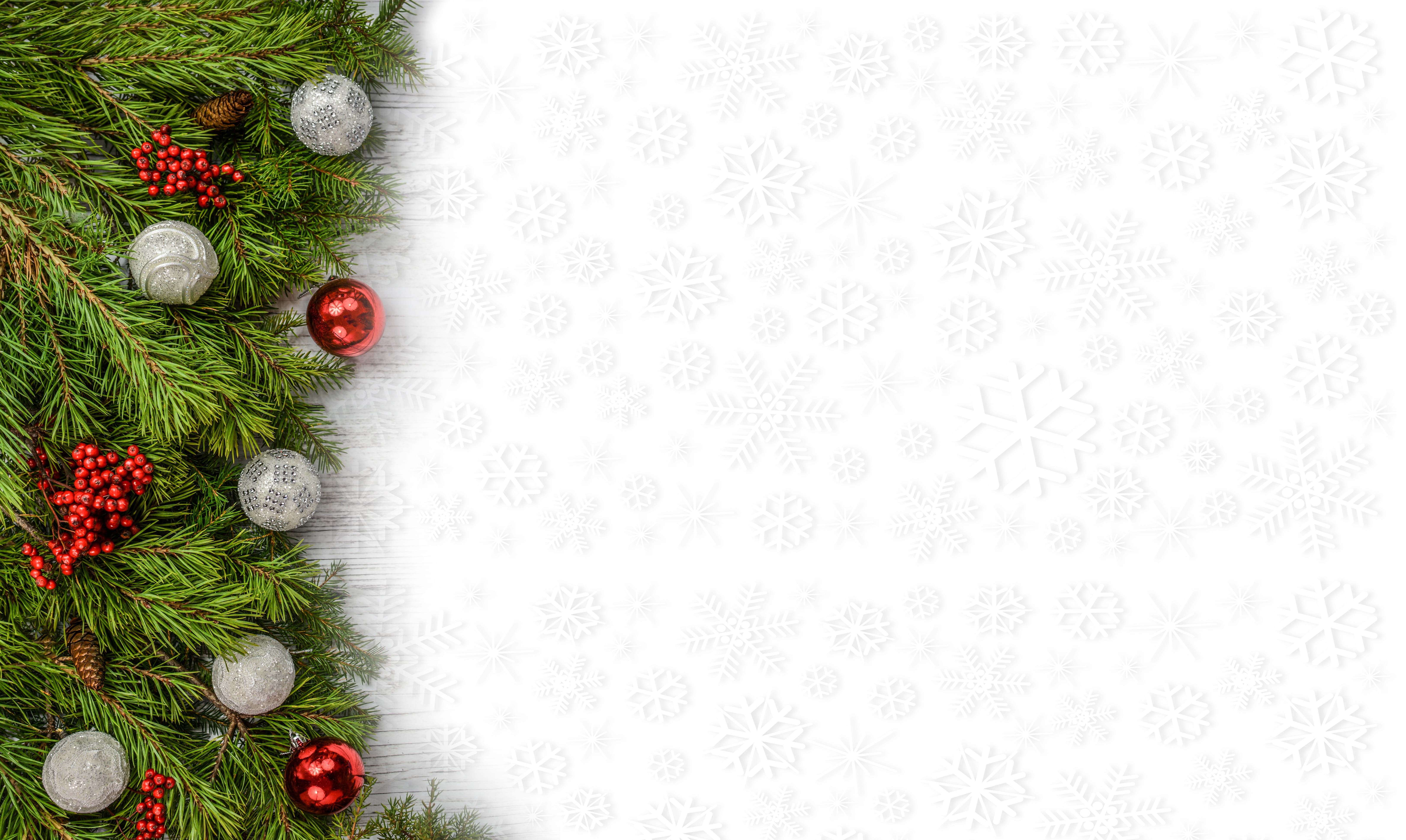 closeup photo of green Christmas tree background backdrop decoration 71 2k 4k 5k