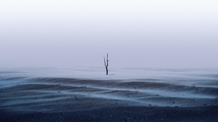 iceland tree iu 2k 4k 5k