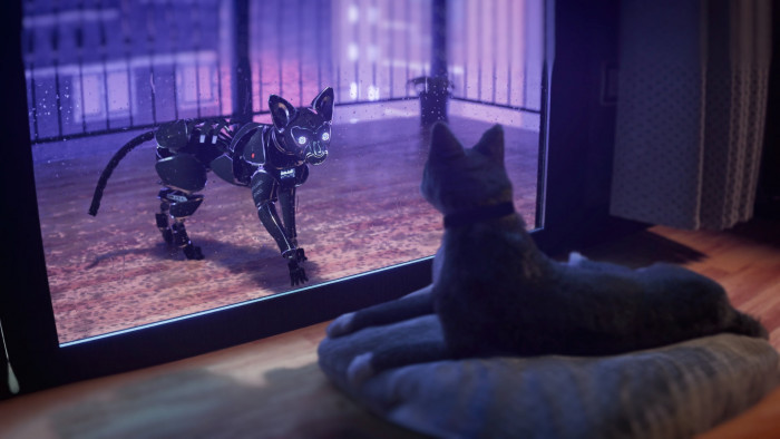 Cat Future Robot Window Fantasy Art Fiction Illustration