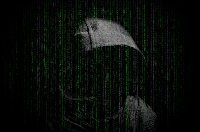 person in gray hooded jacket wallpaper hacker hacking computer 2k