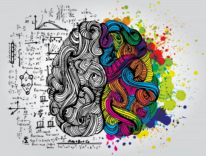 abstract art painting brain logical part creative vector 2k