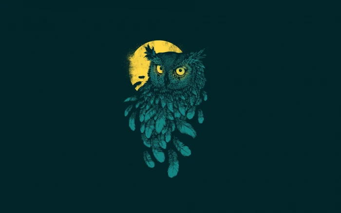 owl animation wallpaper digital art minimalism animals feathers