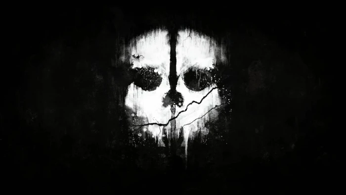 white and black skull illustration